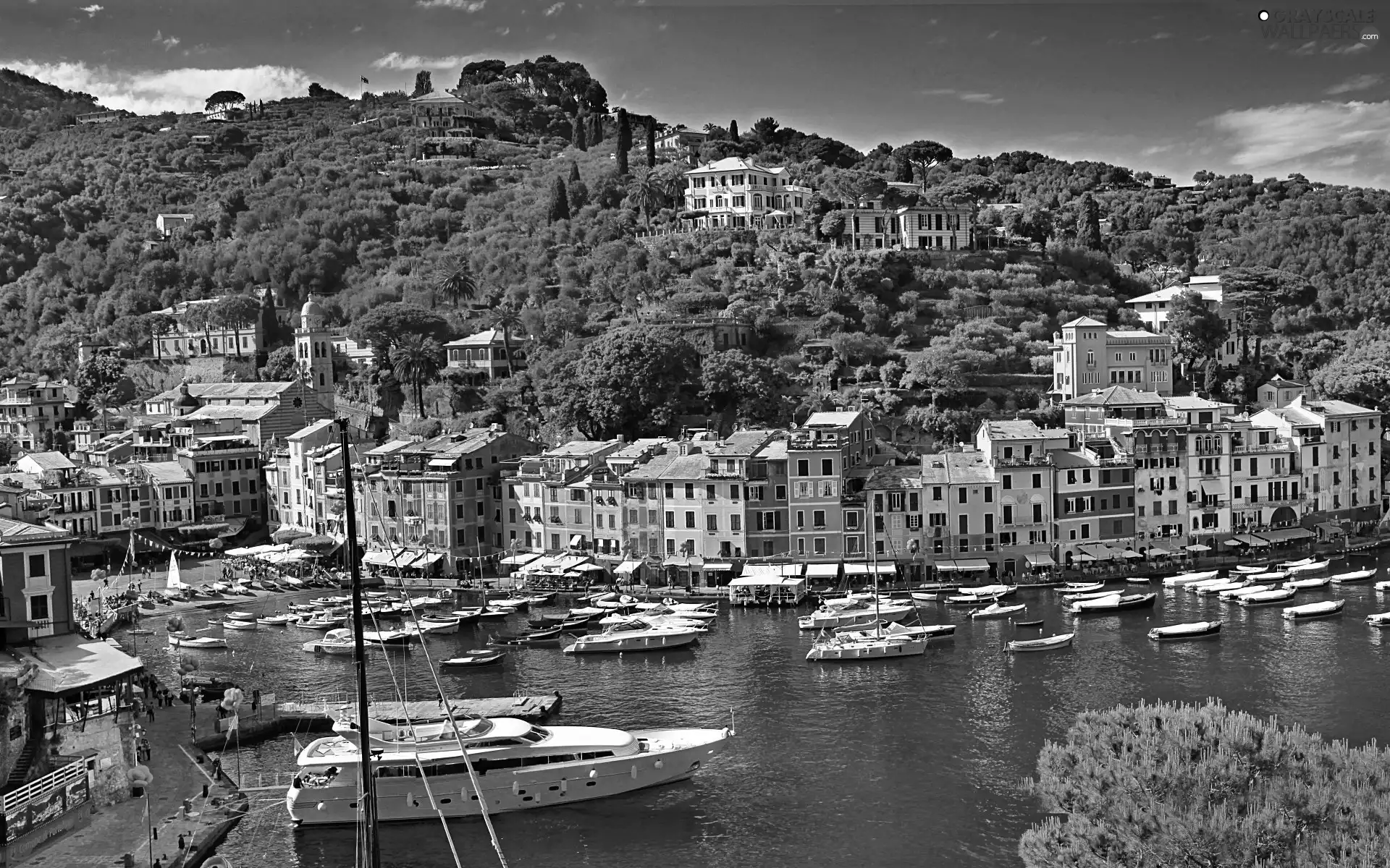 The Hills, Portofino, Italy, Houses