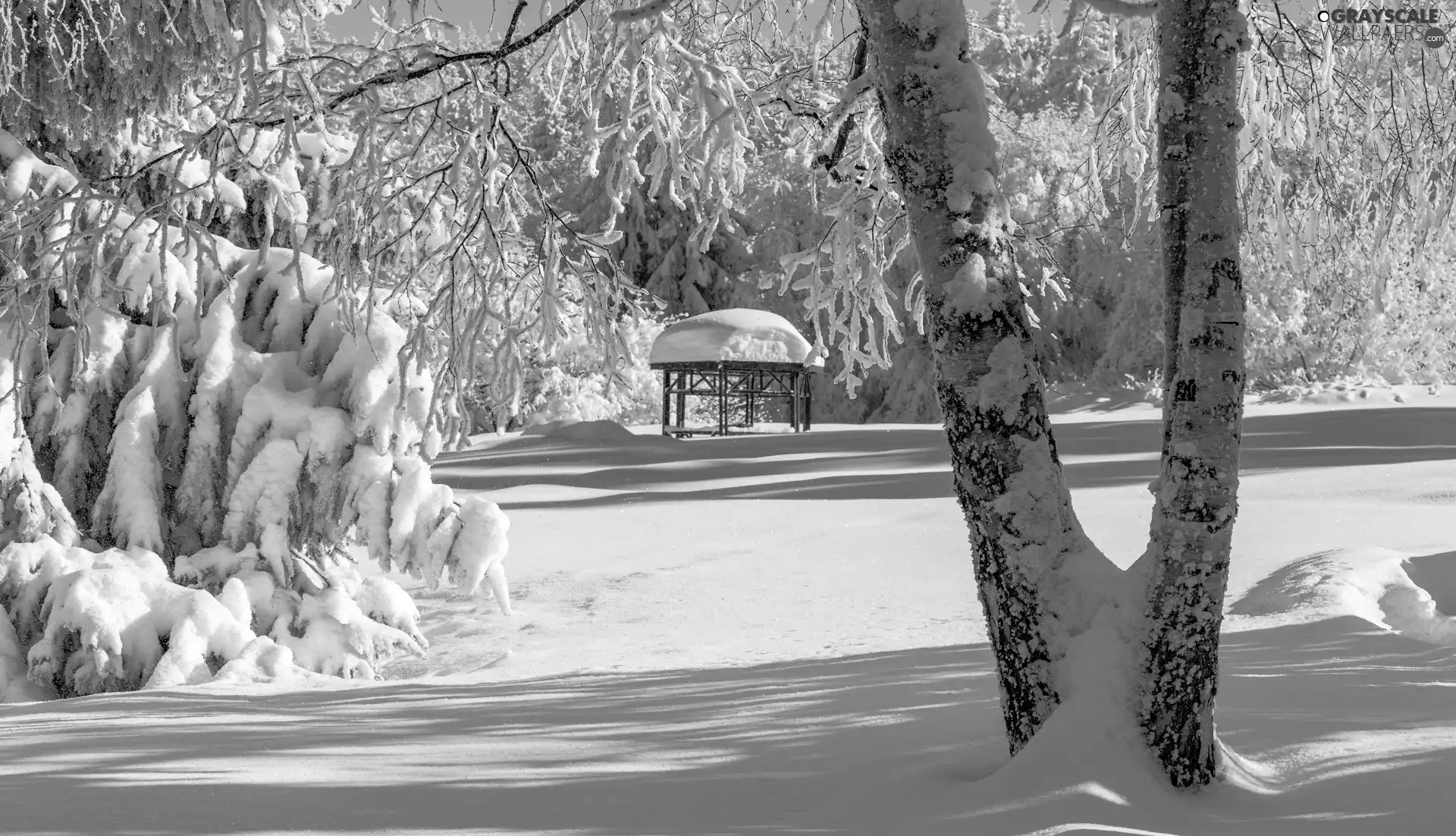 Park, winter, viewes, alcove, trees, snow