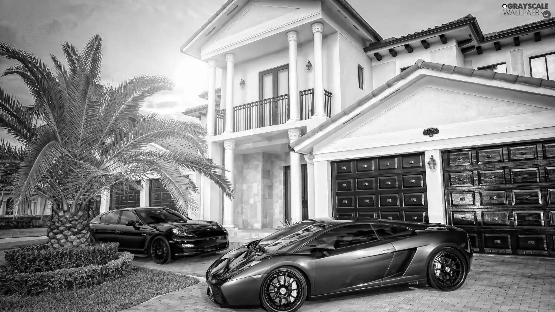 Beauty, Palm, Automobile, villa