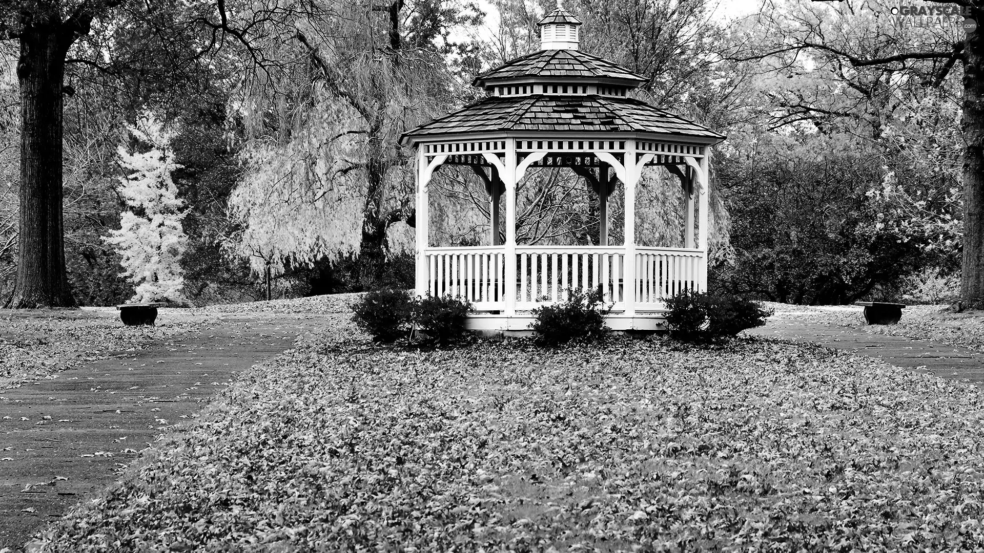 autumn, Park, arbour