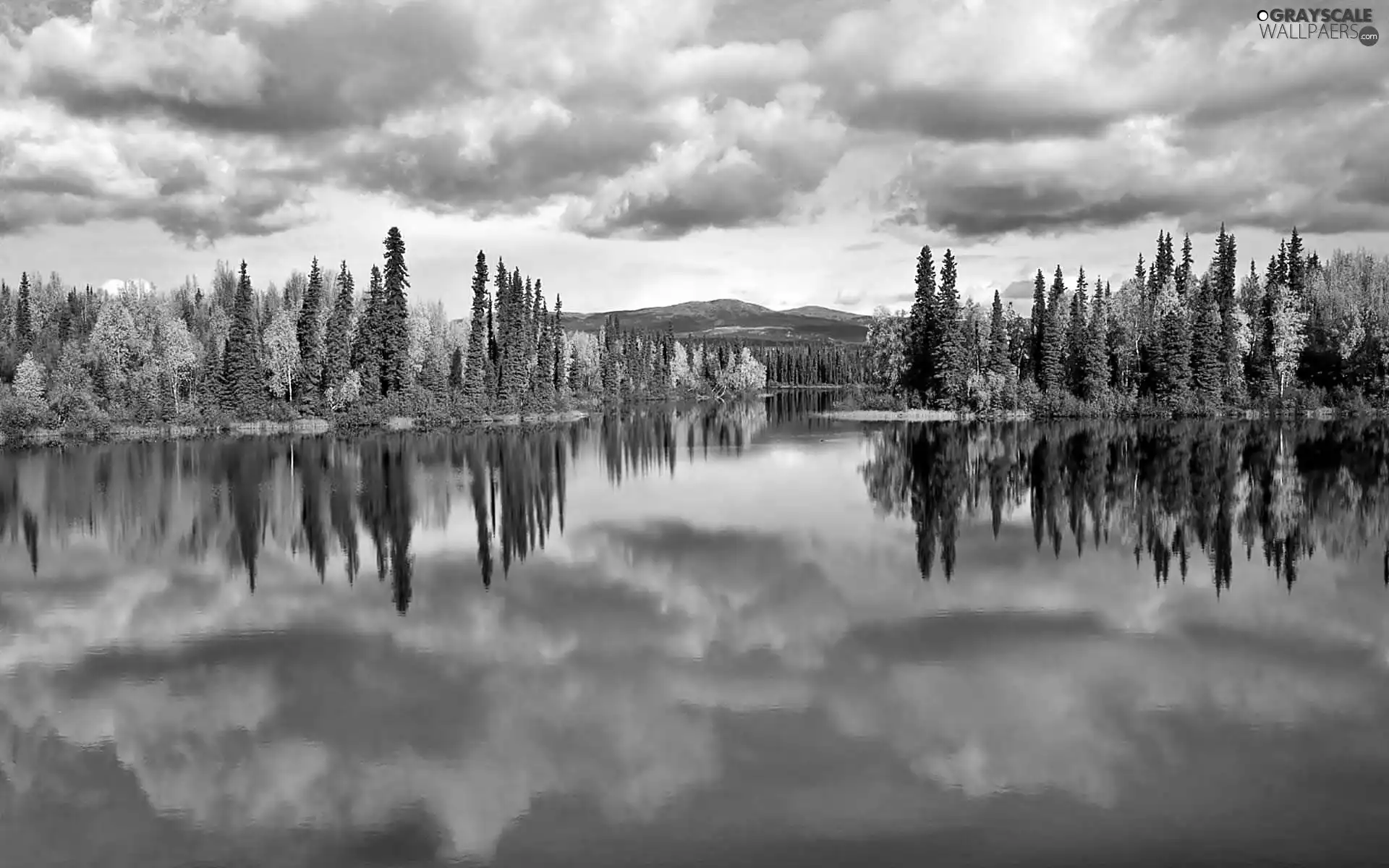 lake, clouds, autumn, forest