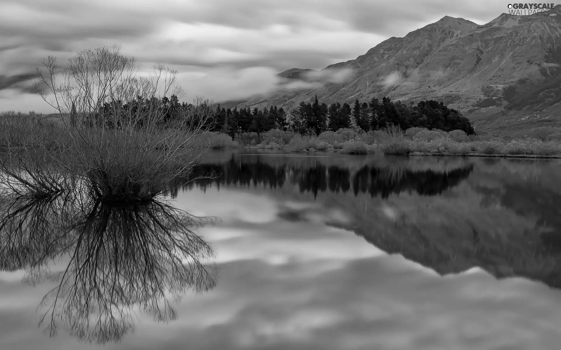 lake, woods, autumn, Mountains