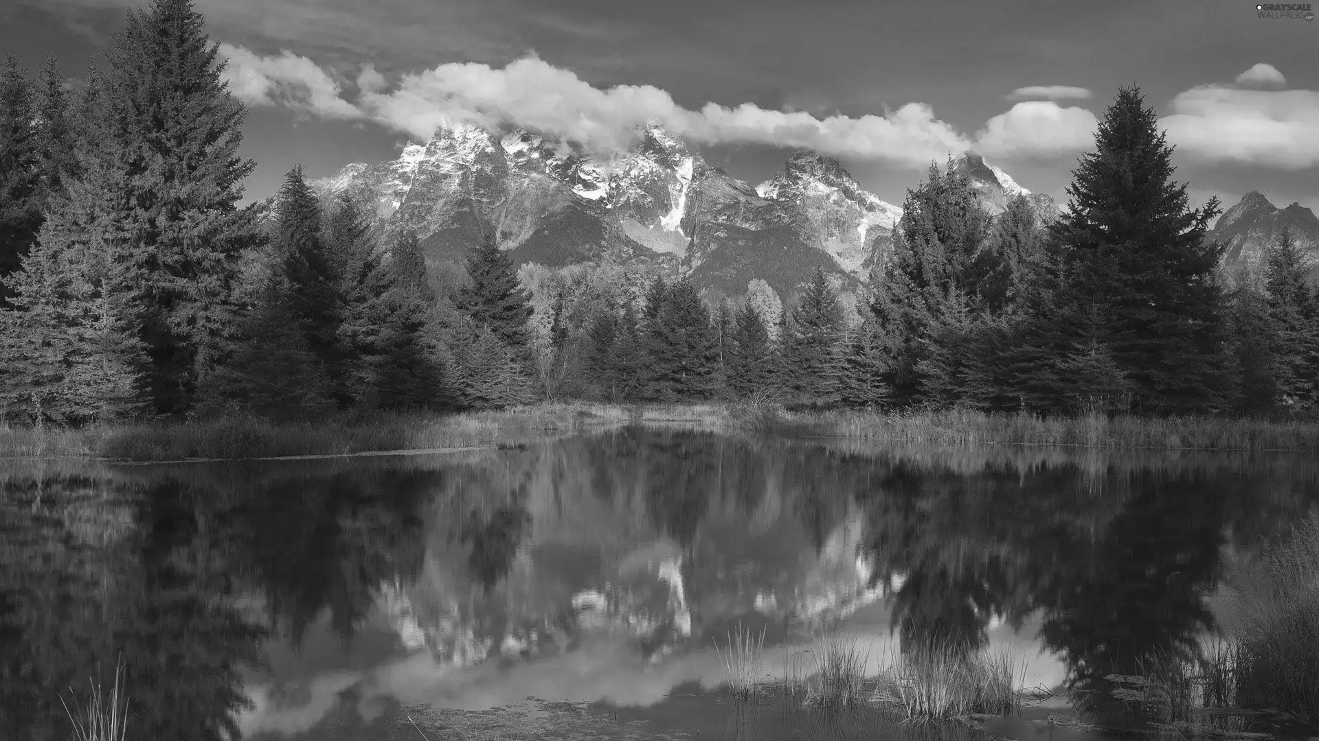 Mountains, woods, autumn, lake