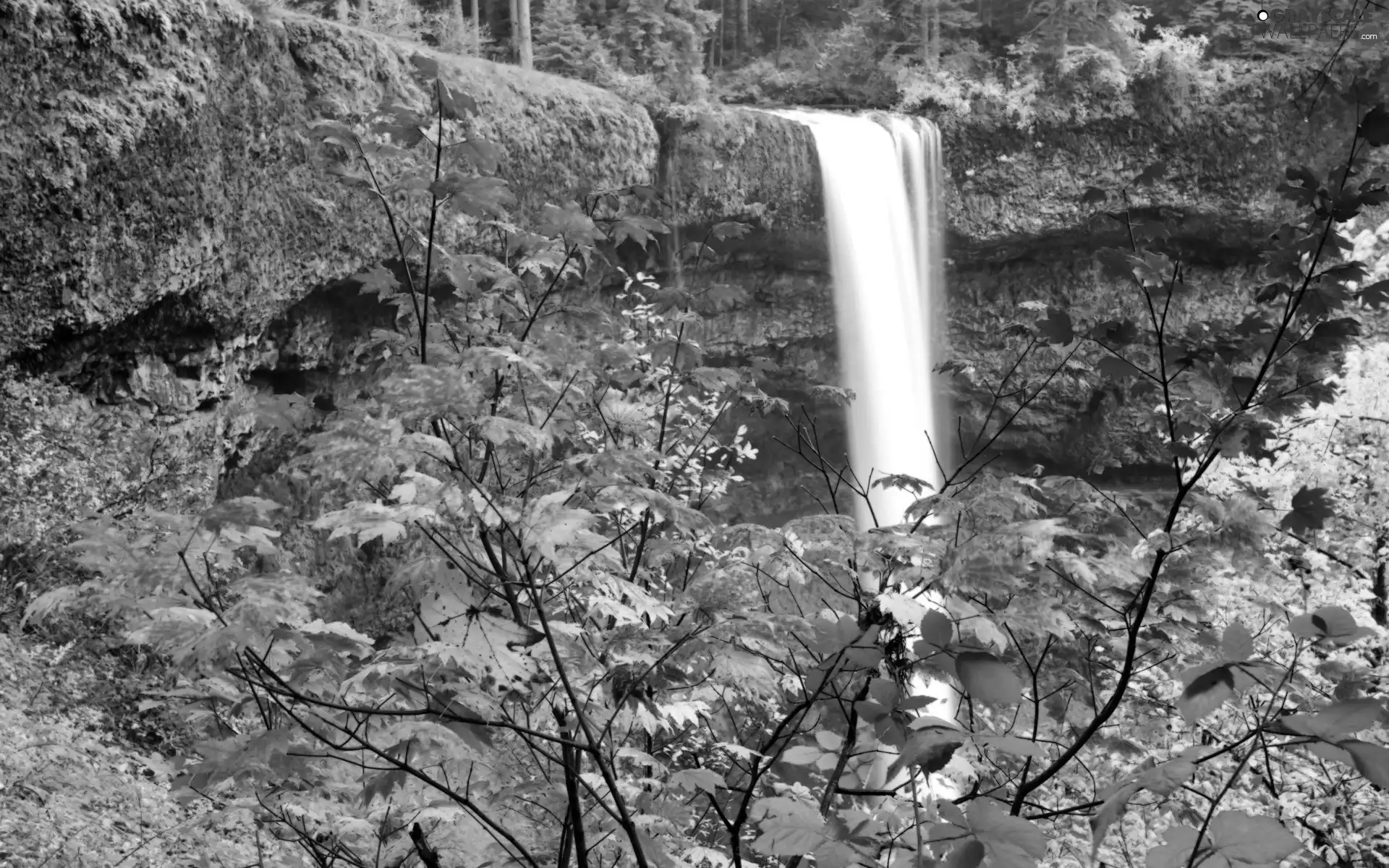 waterfall, viewes, autumn, trees