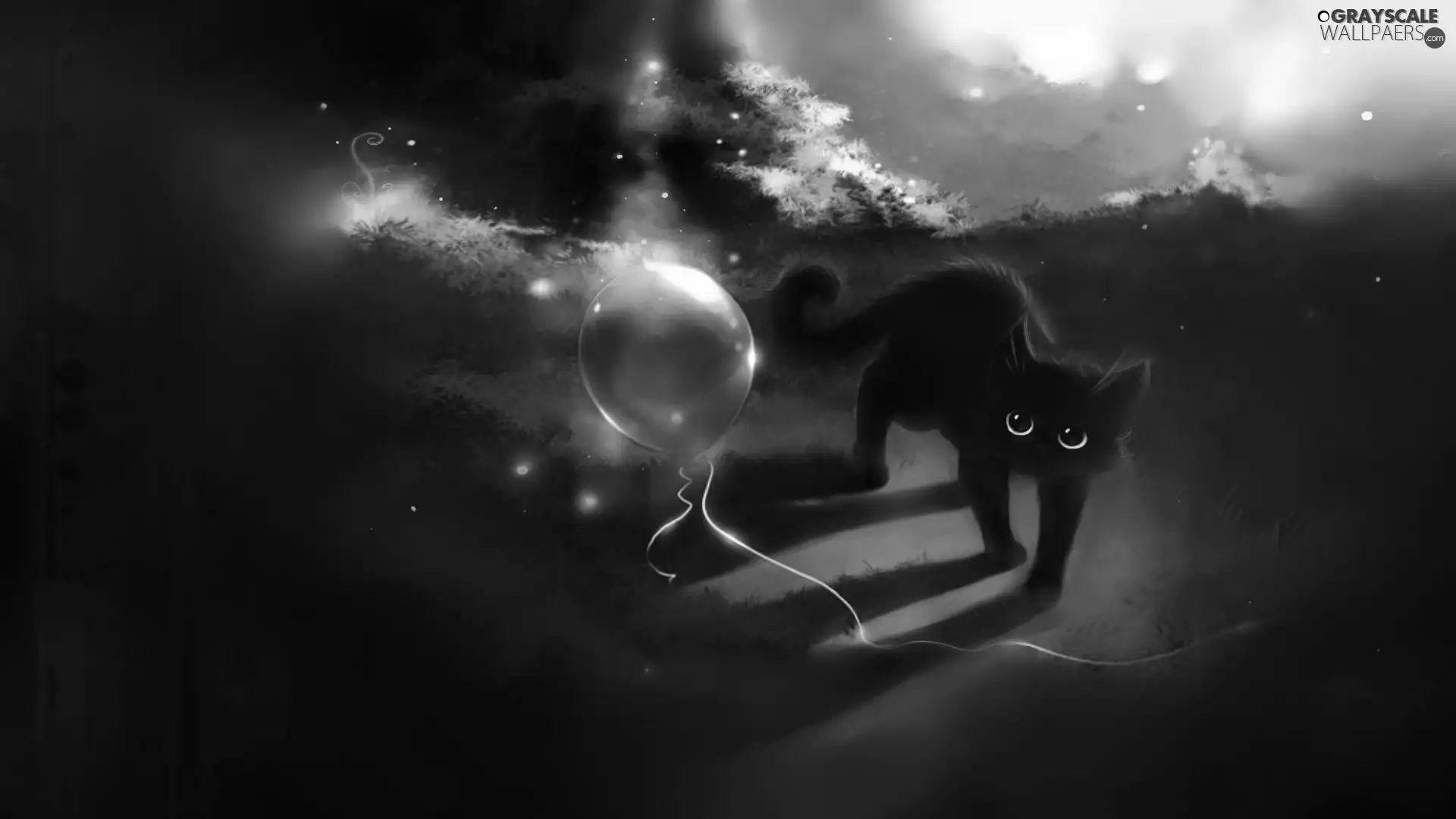 cat, Balloon