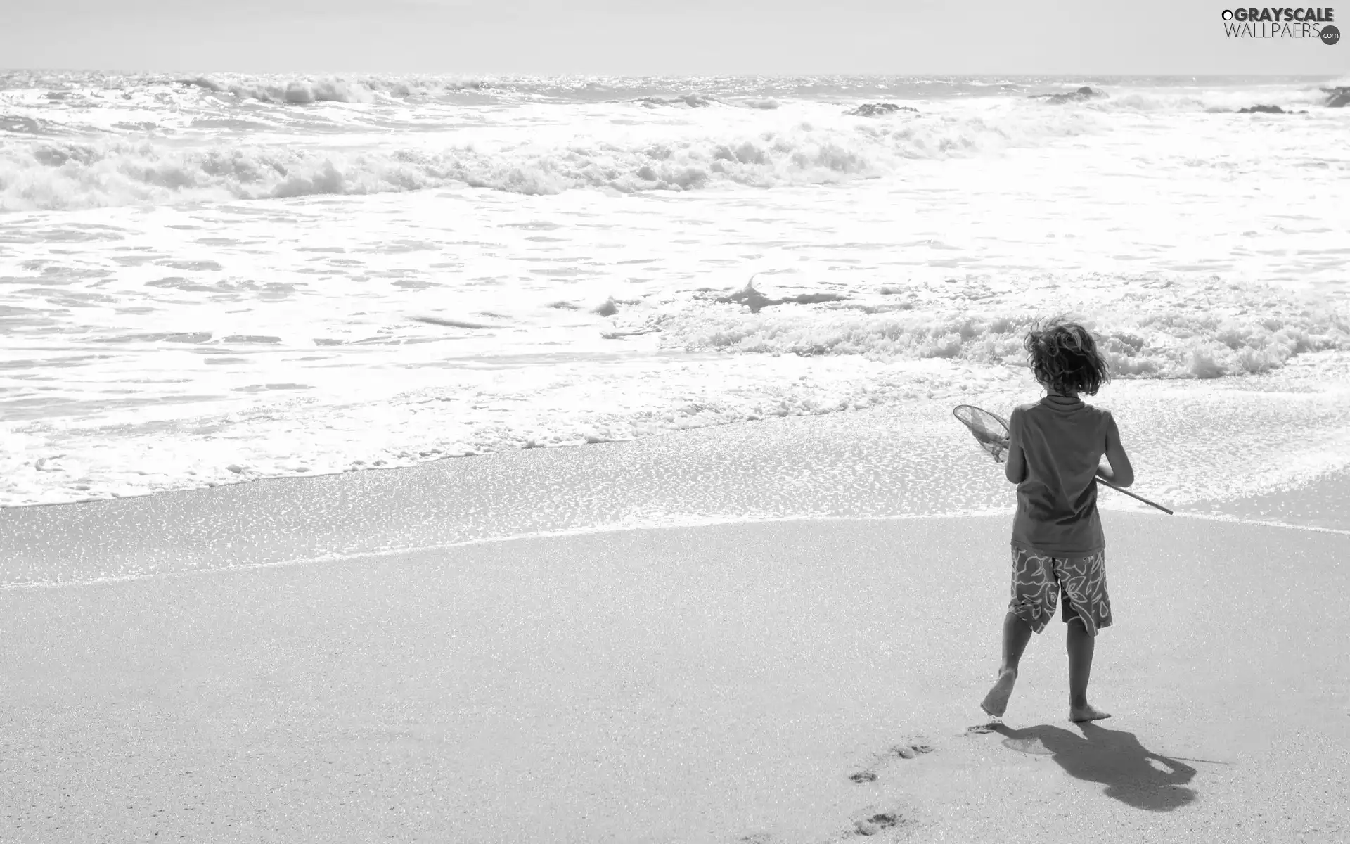 boy, sea, Beaches, net