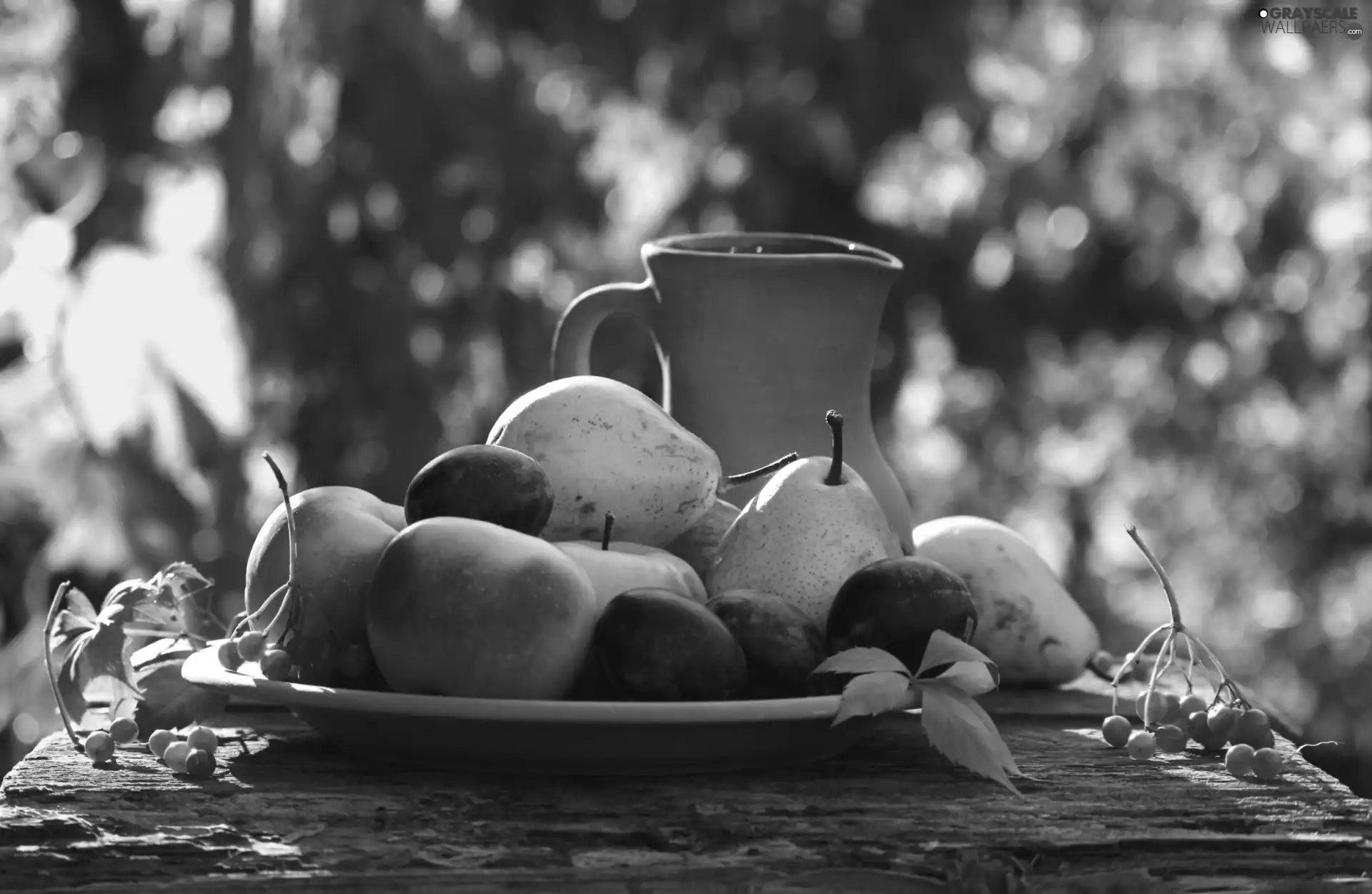 Garden, Bench, luminosity, ligh, flash, autumn, Fruits, sun