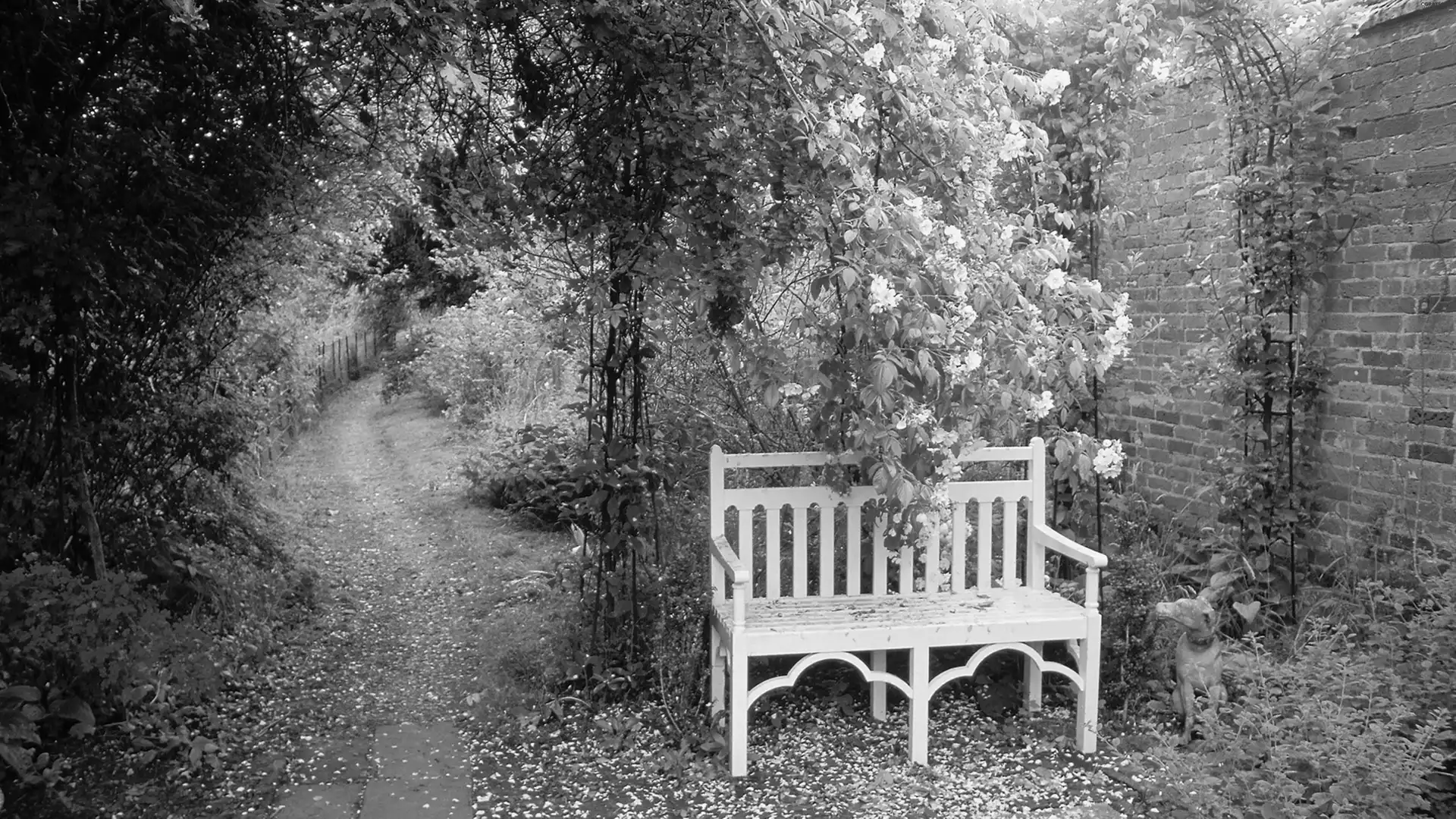 Park, Bench