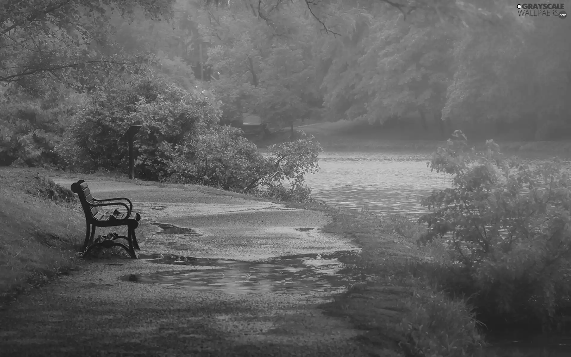 River, Fog, Bench, forest