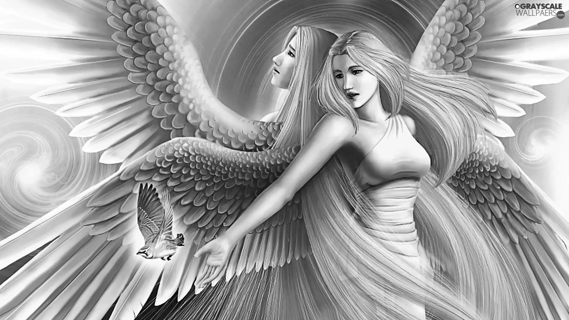 Women, Hair, Bird, angel