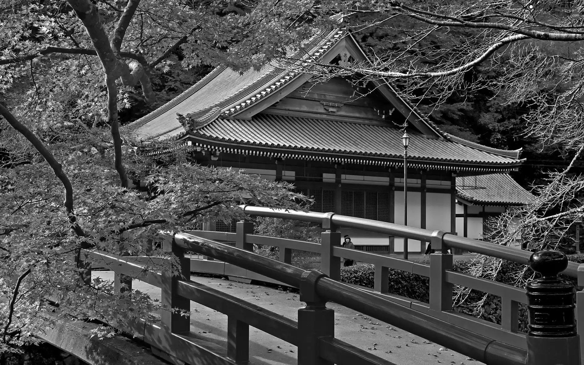 bridges, autumn, Buldings, Red, Asian