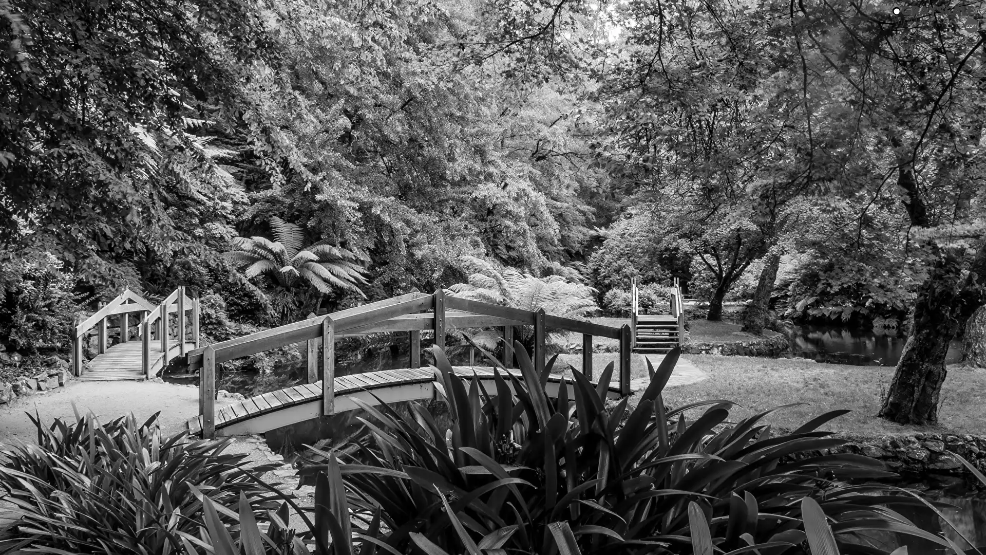 Bridges, Spring, Park, brook, Green