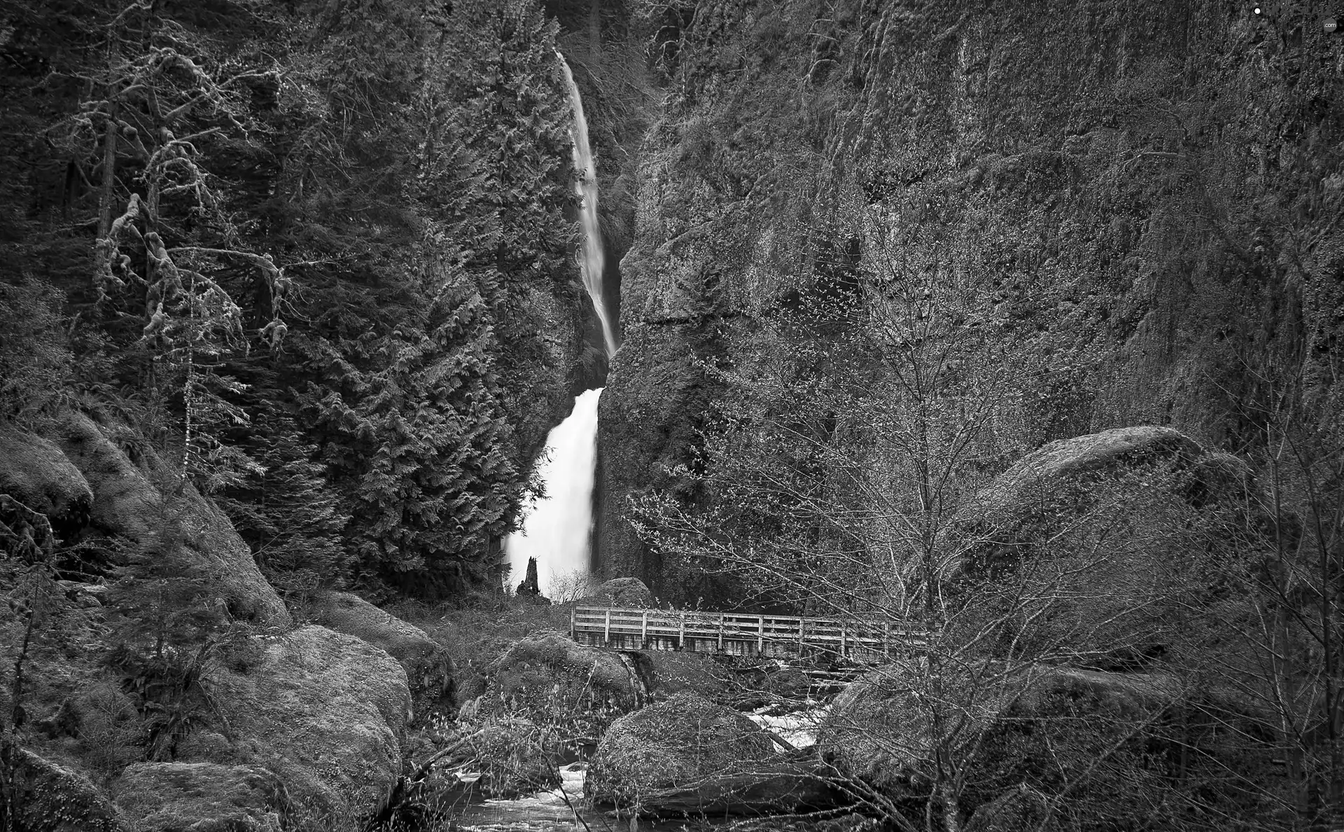 brook, bridge, forest, waterfall, Mountains