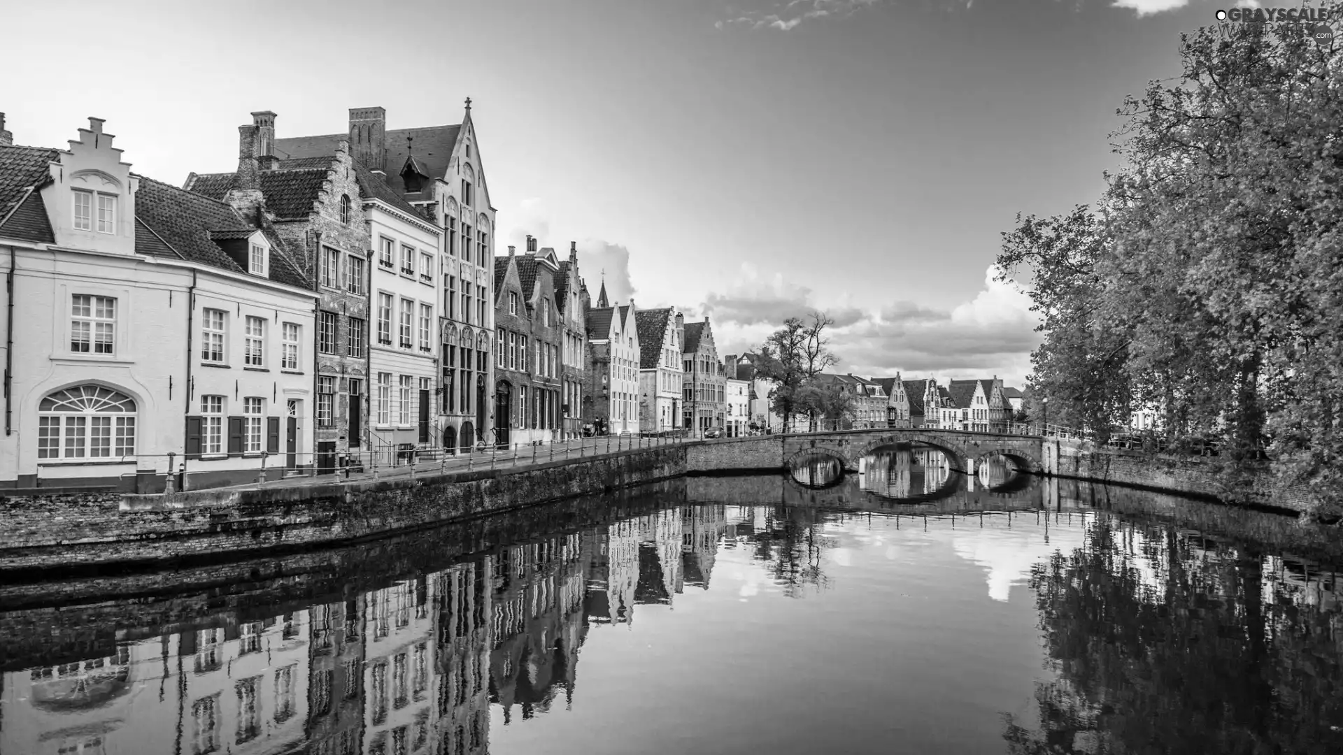 buildings, Town, River