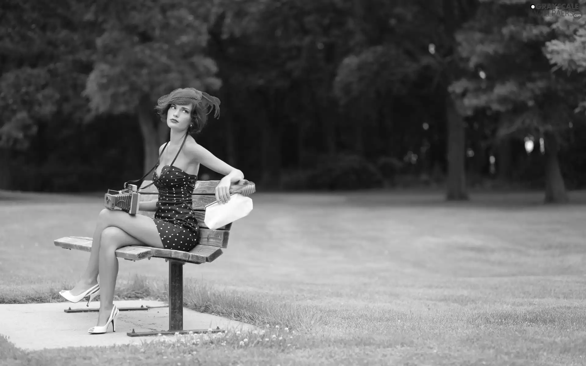 Camera, girl, Bench