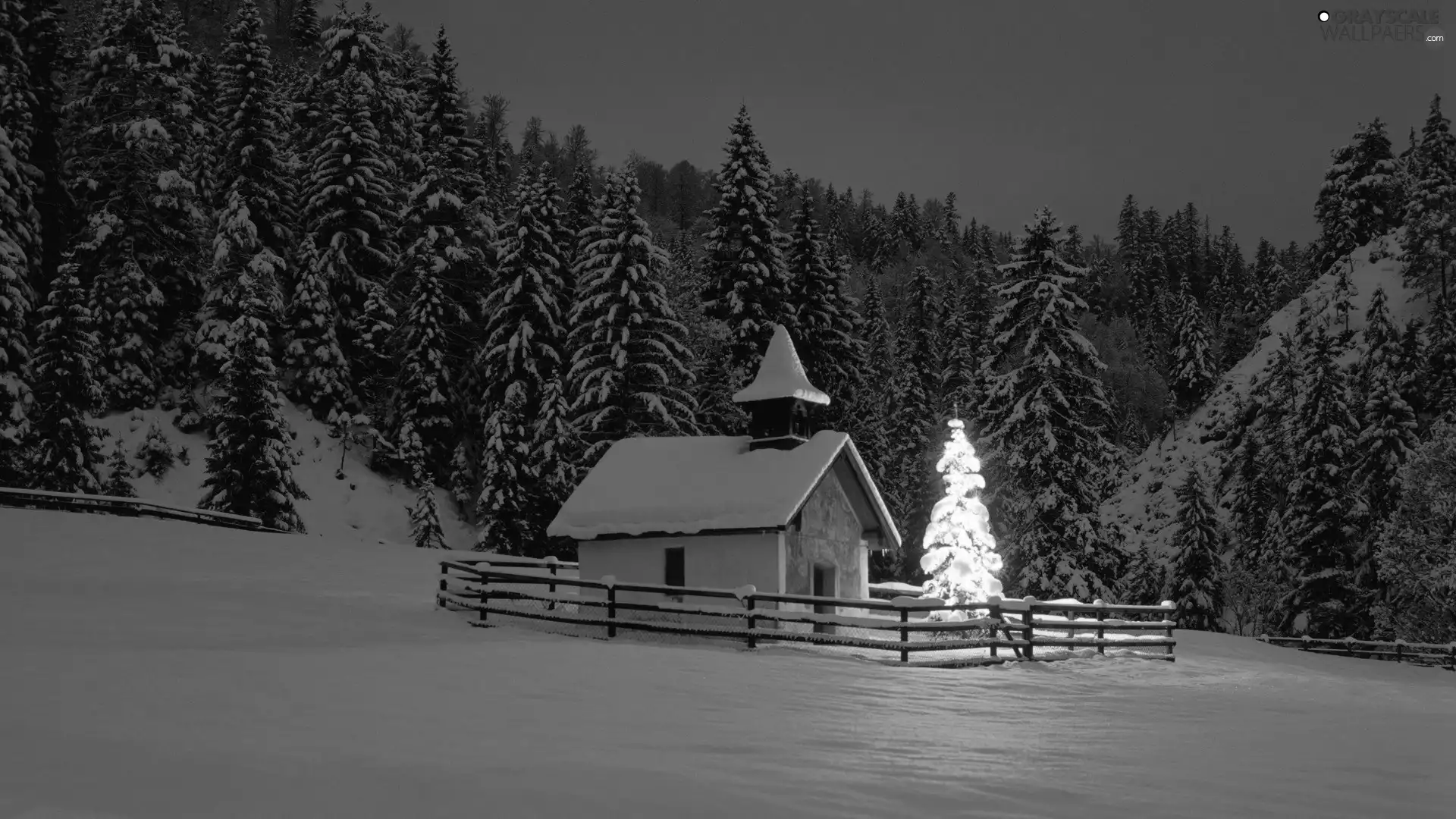 Grayscale christmas tree, Christmas, house, forest, winter - 1920x1080