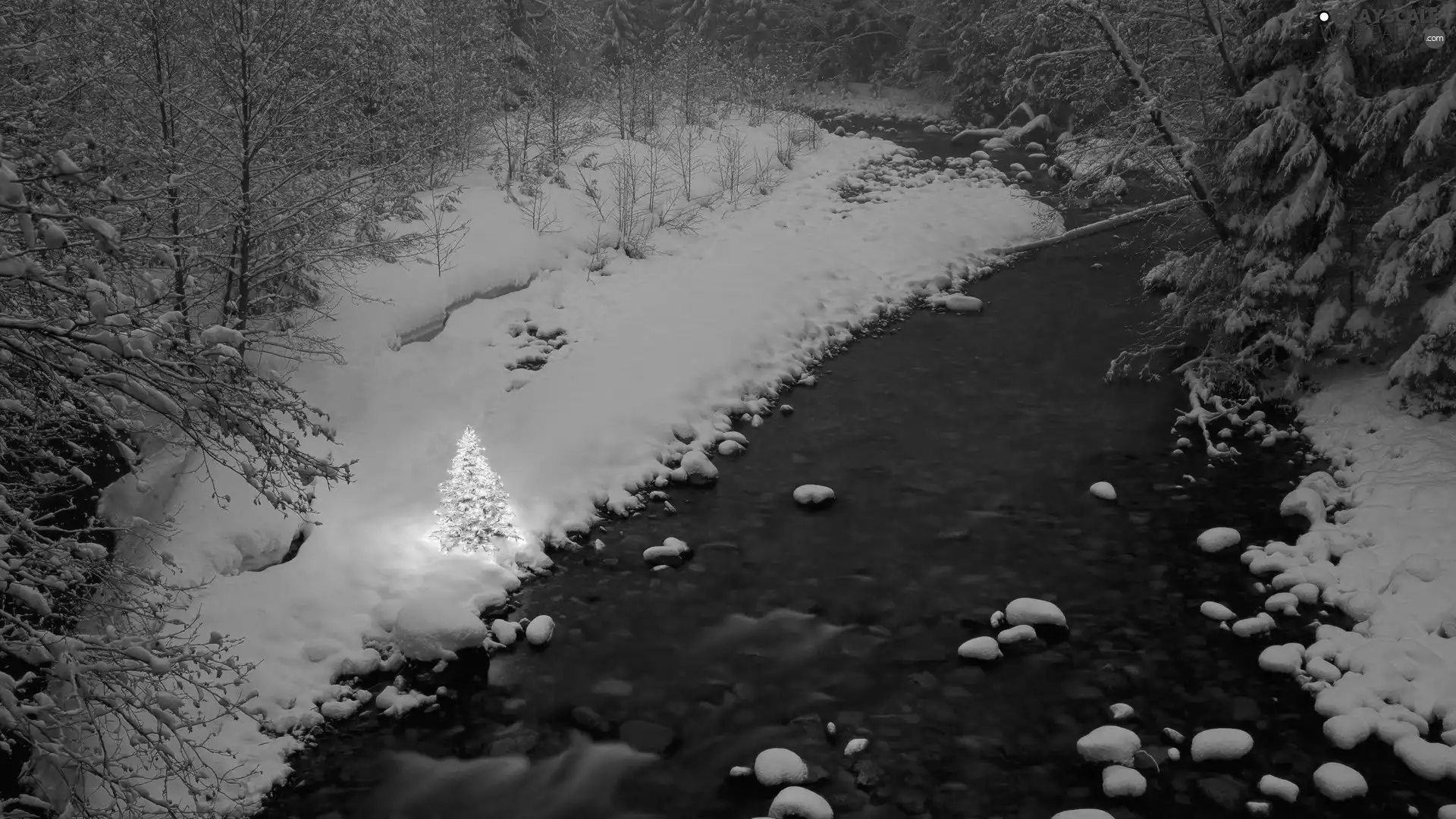 christmas tree, Christmas, River, forest, winter