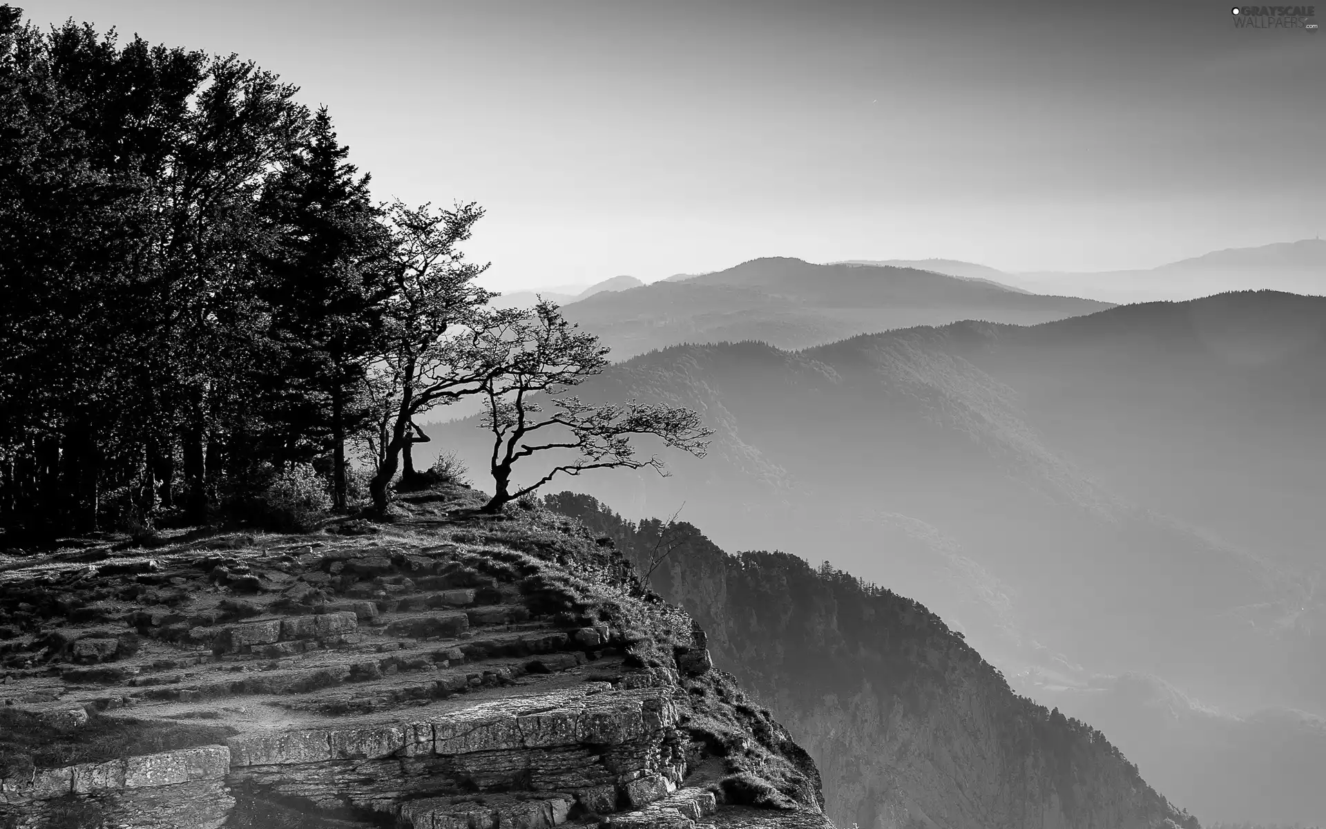 cliff, Mountains, forest