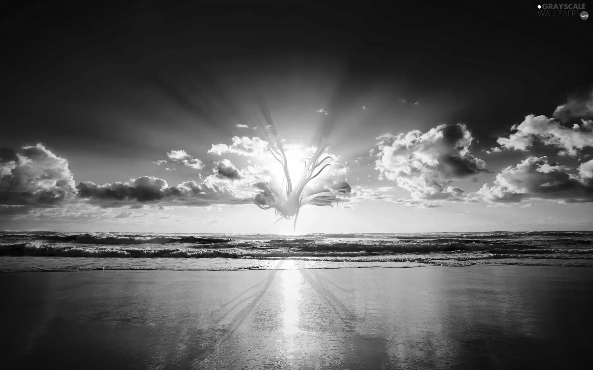 clouds, feather, sun, sea, west