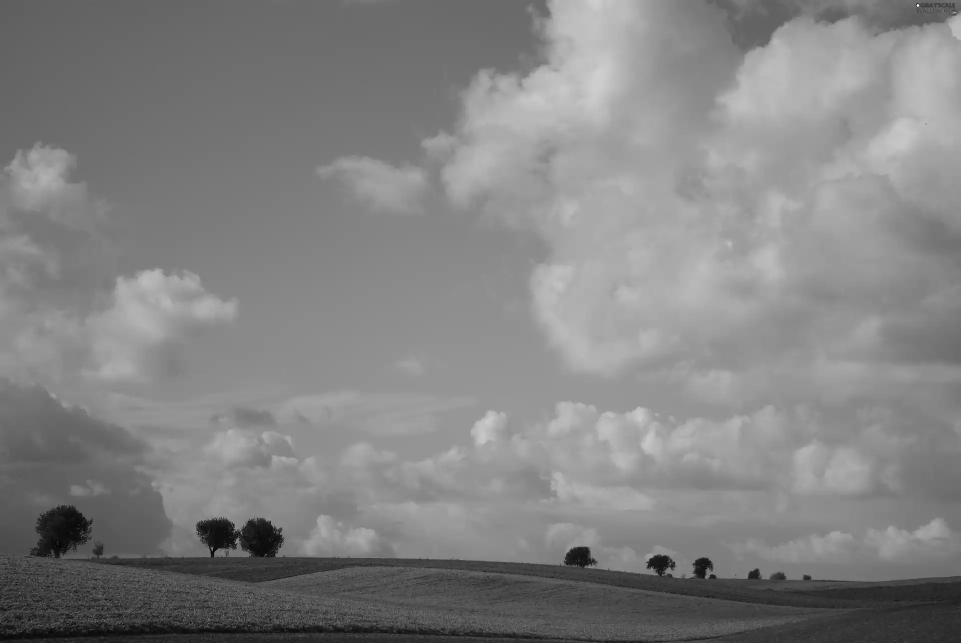 field, clouds