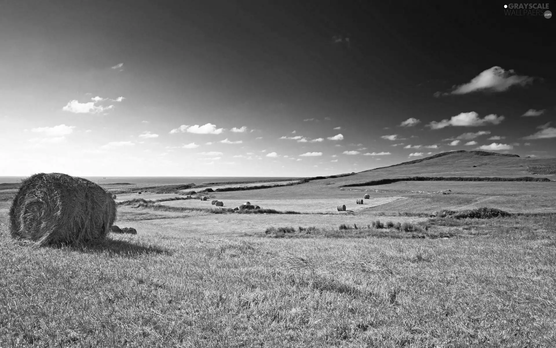 clouds, Hay, medows, field, landscape