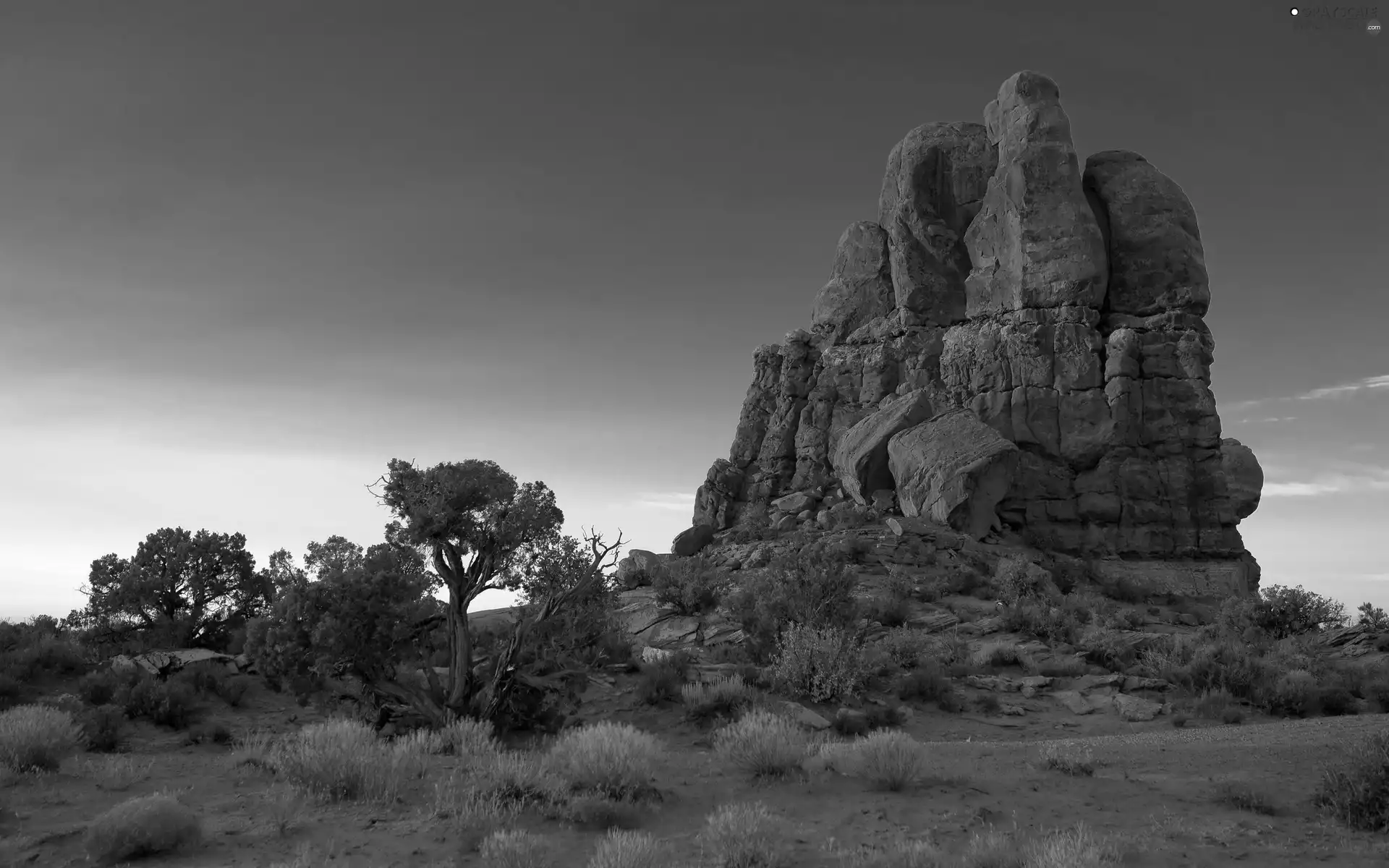 trees, rock, Clumps, grass, viewes, mountains