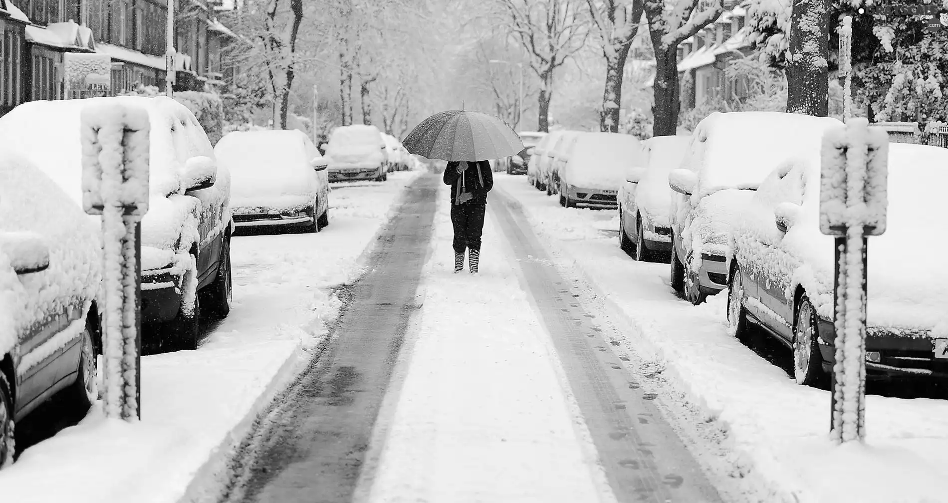 cars, winter, Coloured, umbrella, Women, Street