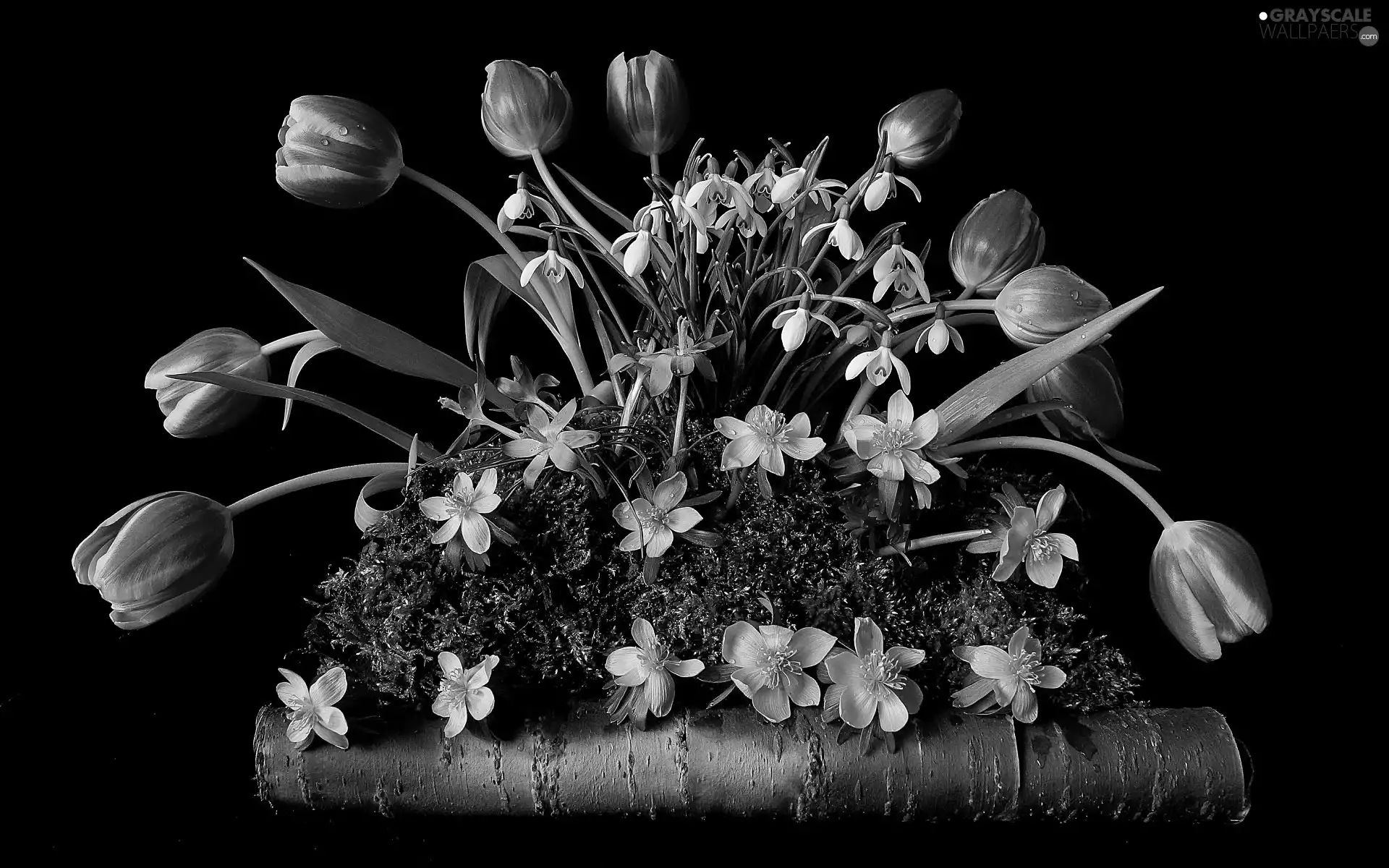 composition, bouquet, flowers