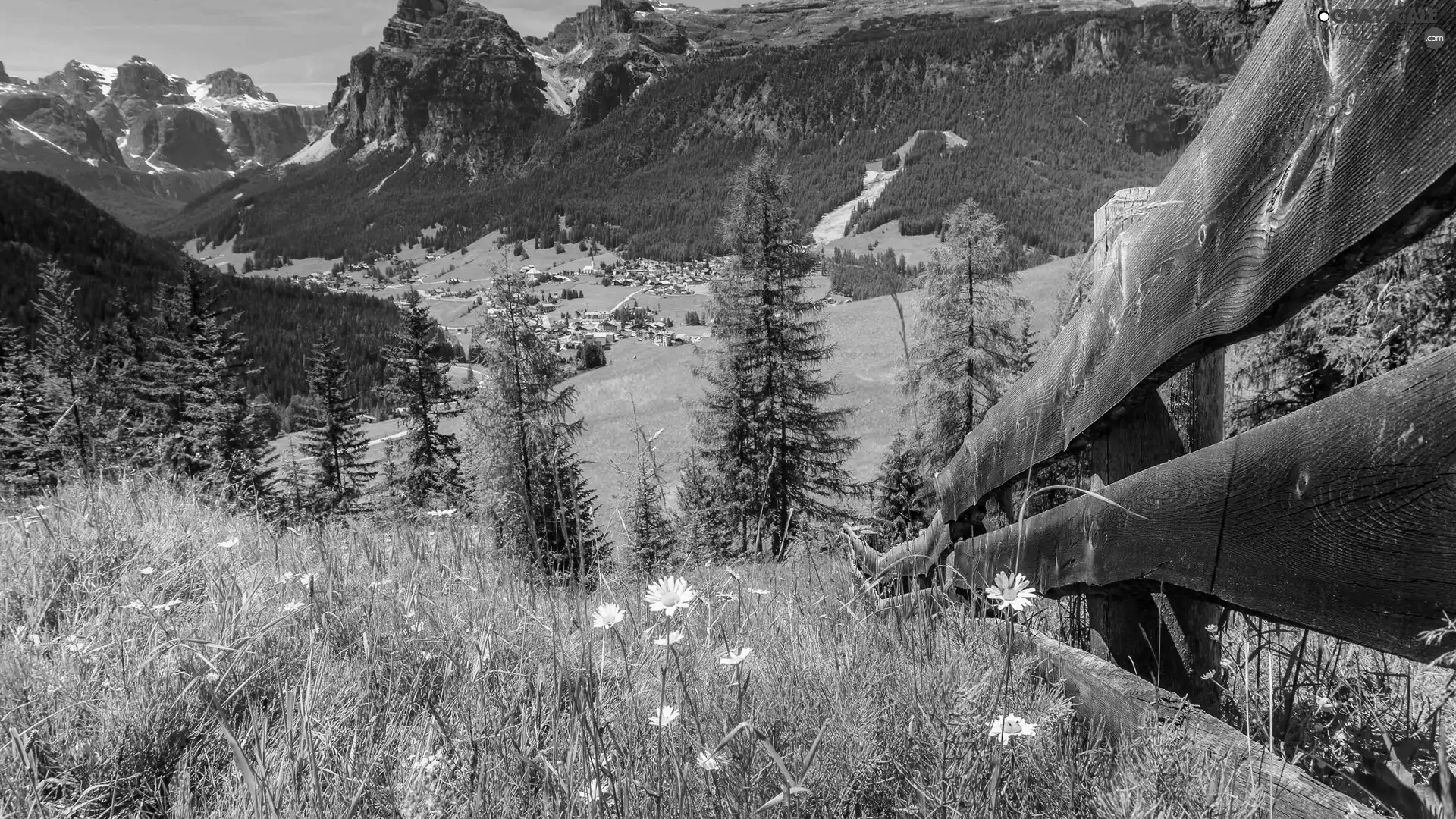 Meadow, Mountains, country, Fance