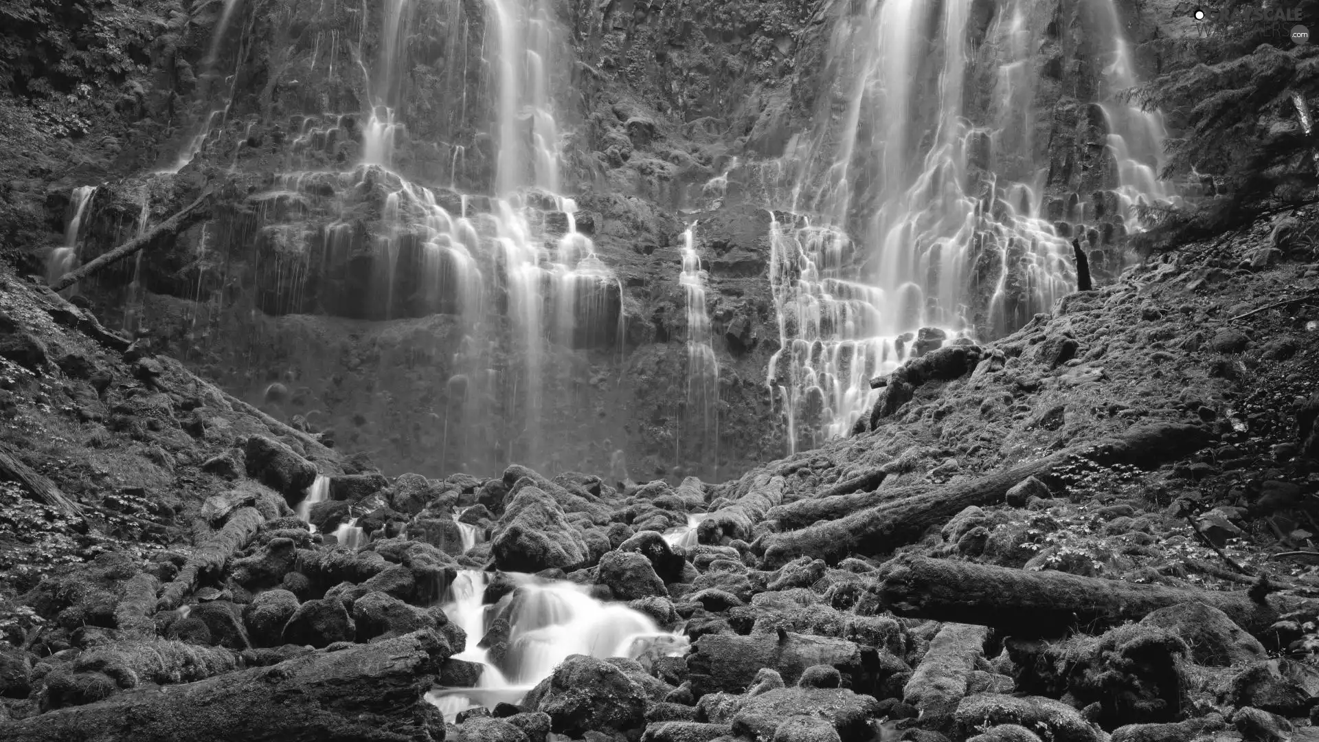 branches, waterfall, Covered, moss, trees, Stones