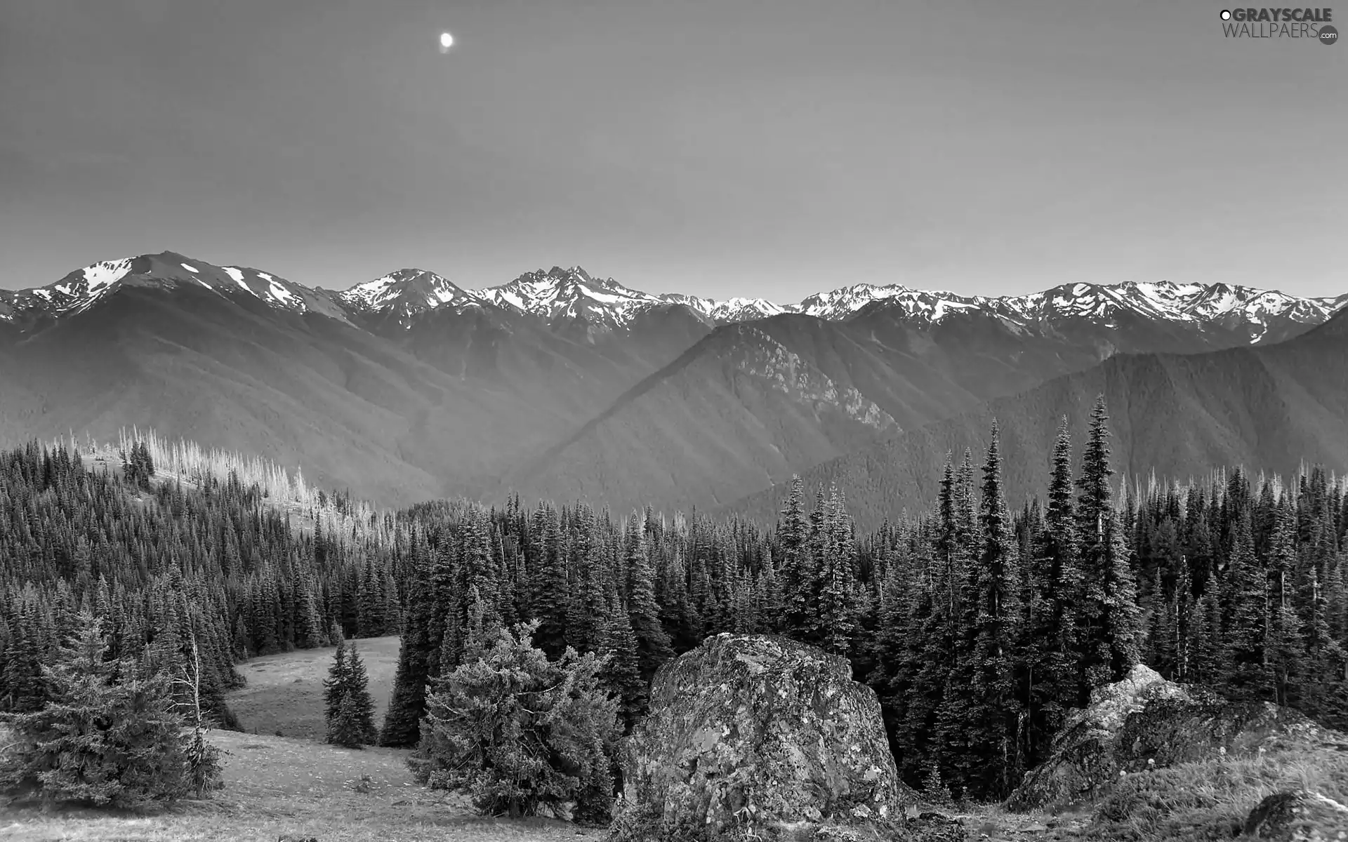 Mountains, rocks, dawn, woods