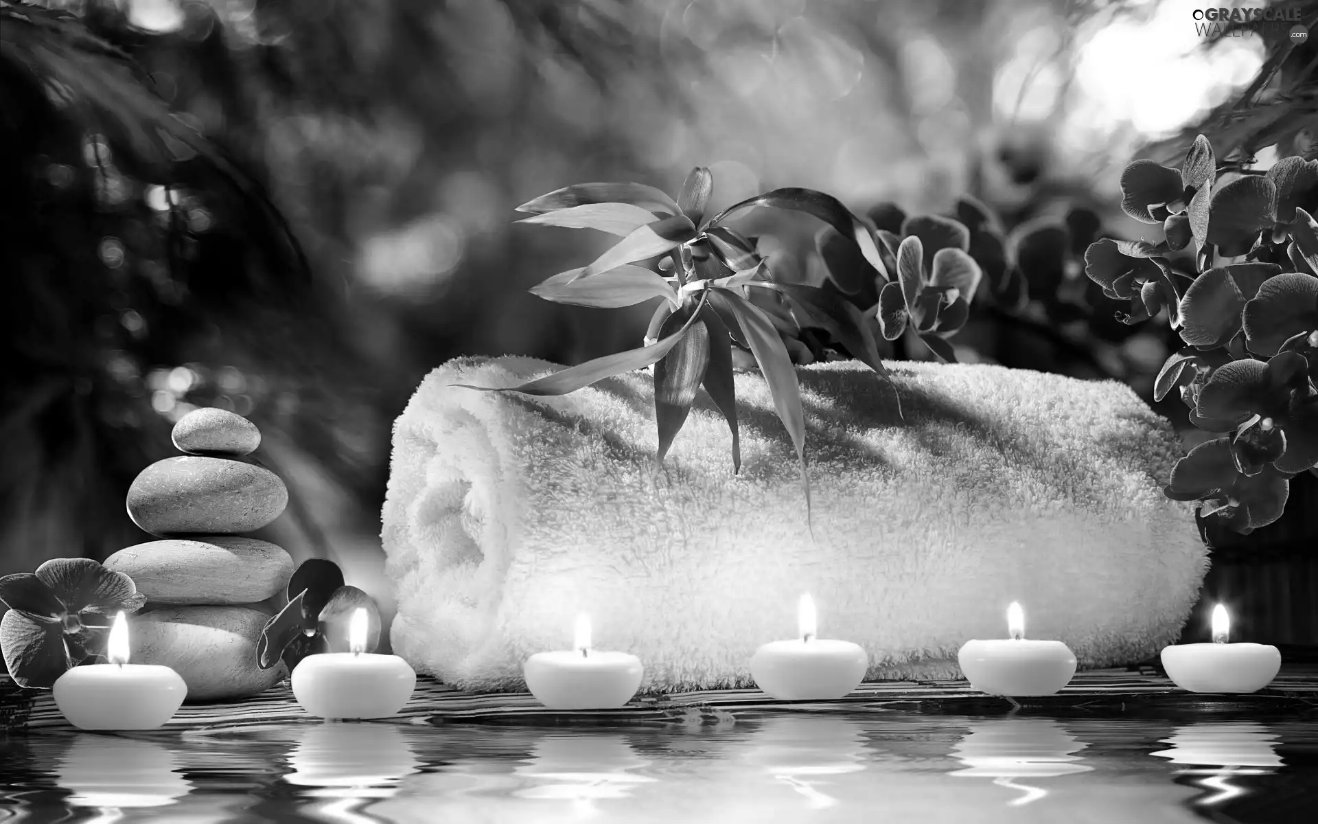 decoration, Spa, Towel, candles, orchid