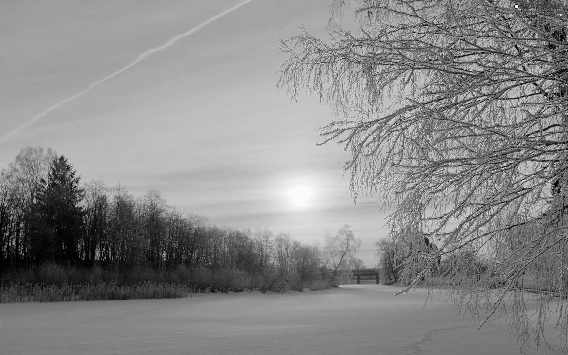 viewes, bridge, sun, trees, River, east, winter