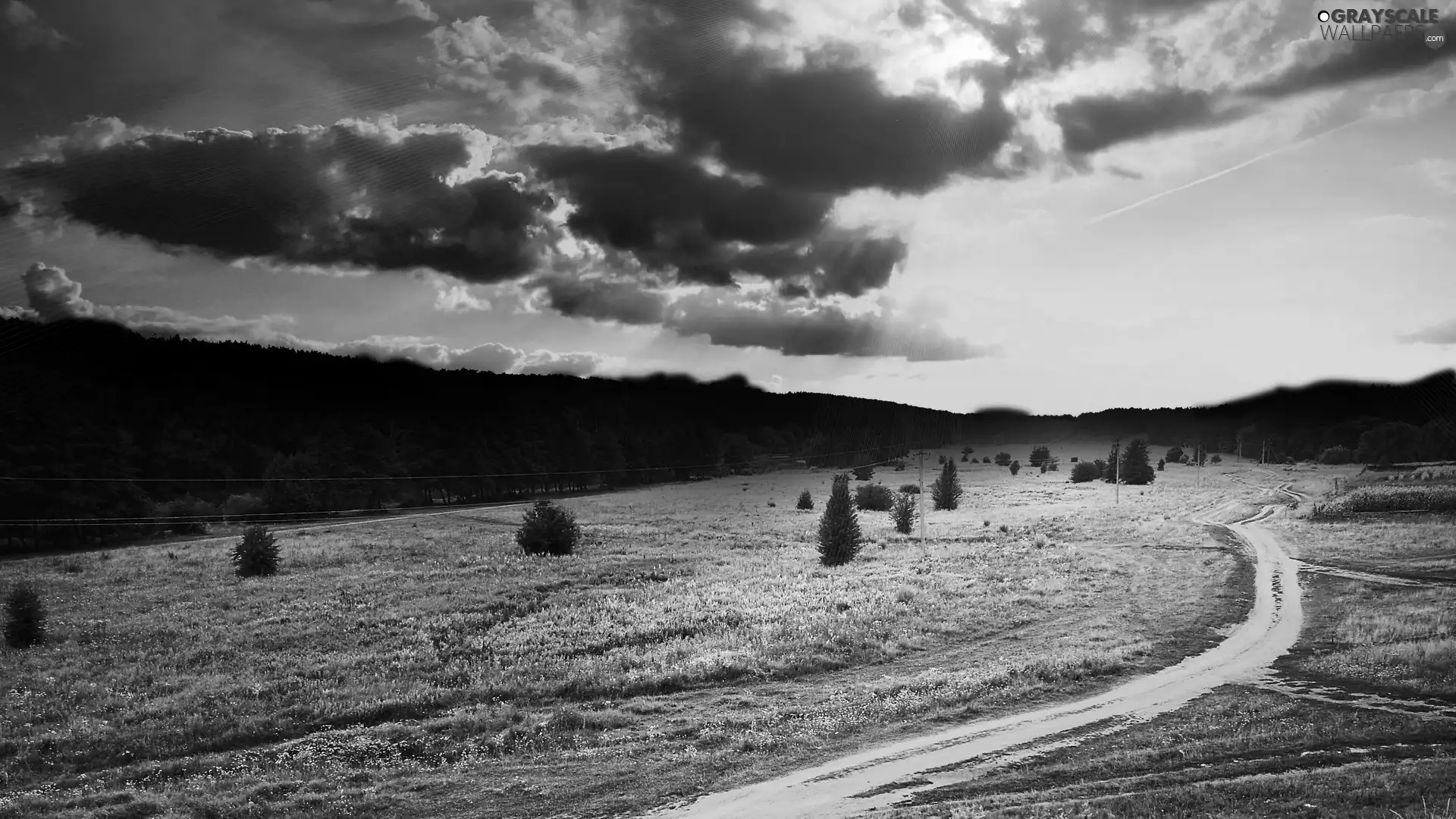 clouds, Field, Path, trees, grass, sun, west, viewes