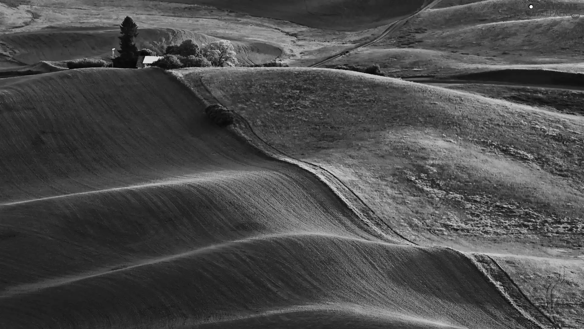 green ones, The Hills, field, wavy