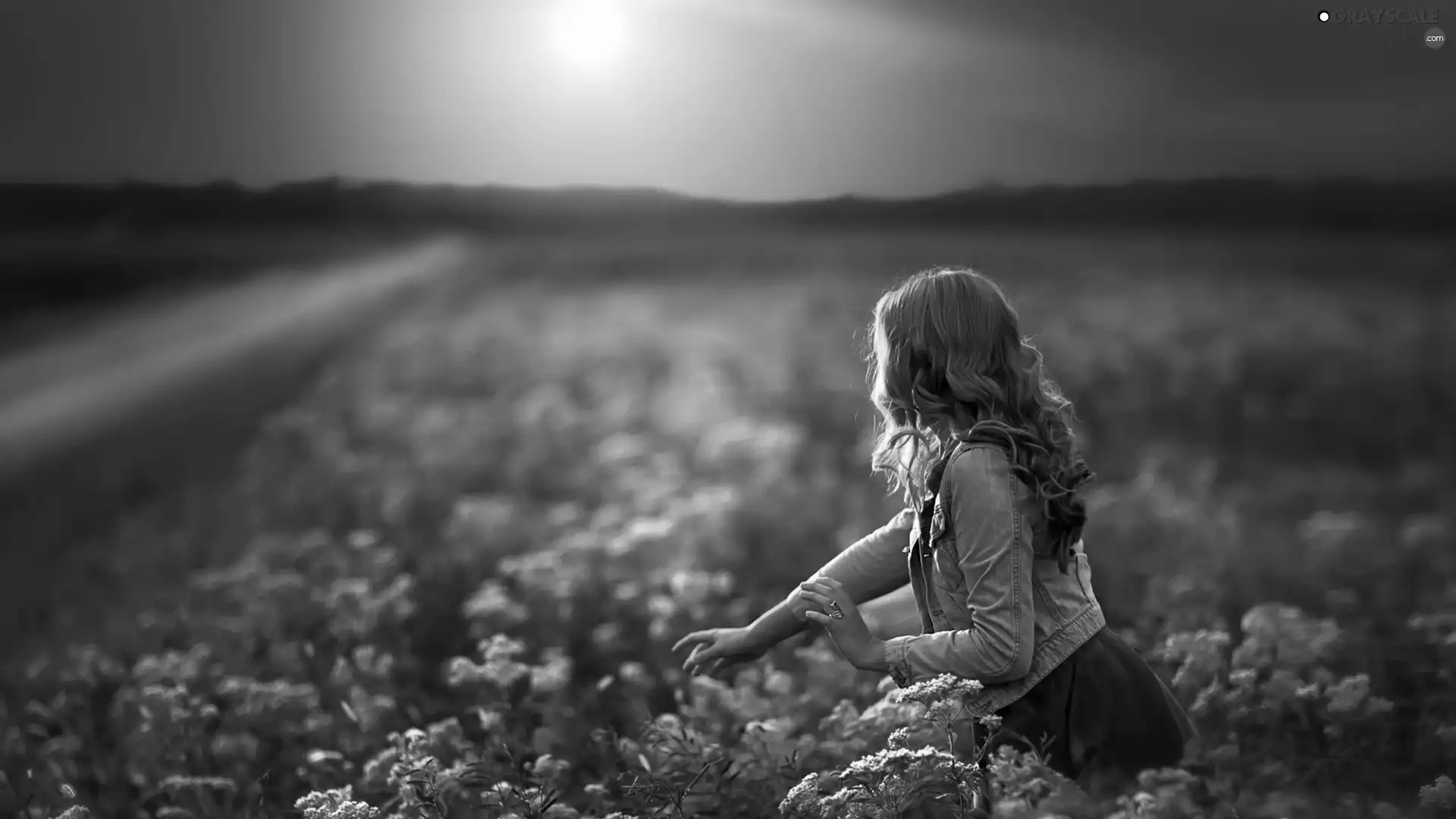 west, Women, Field, sun