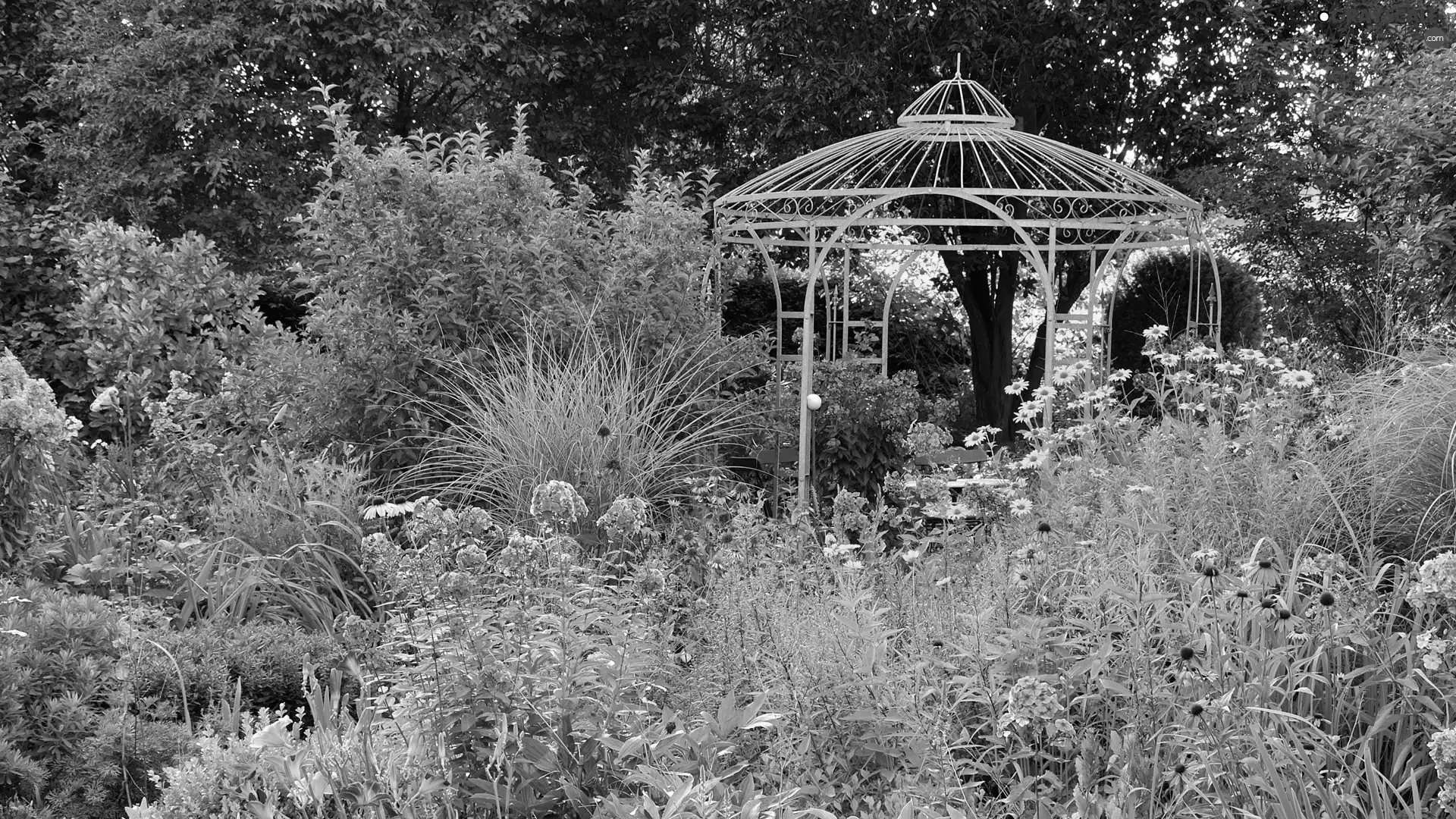 Flowers, Garden, arbour