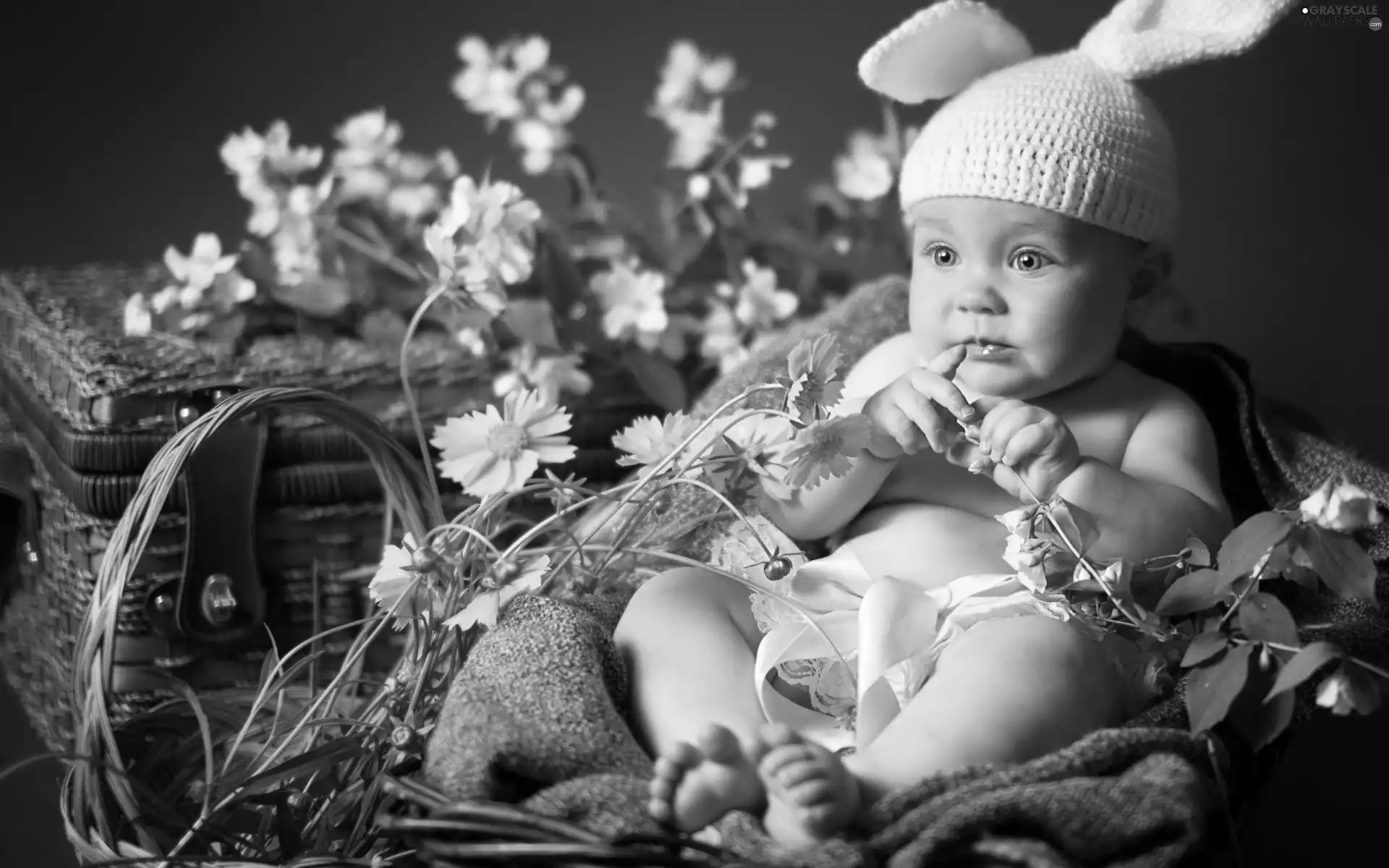 Flowers, Baby, basket