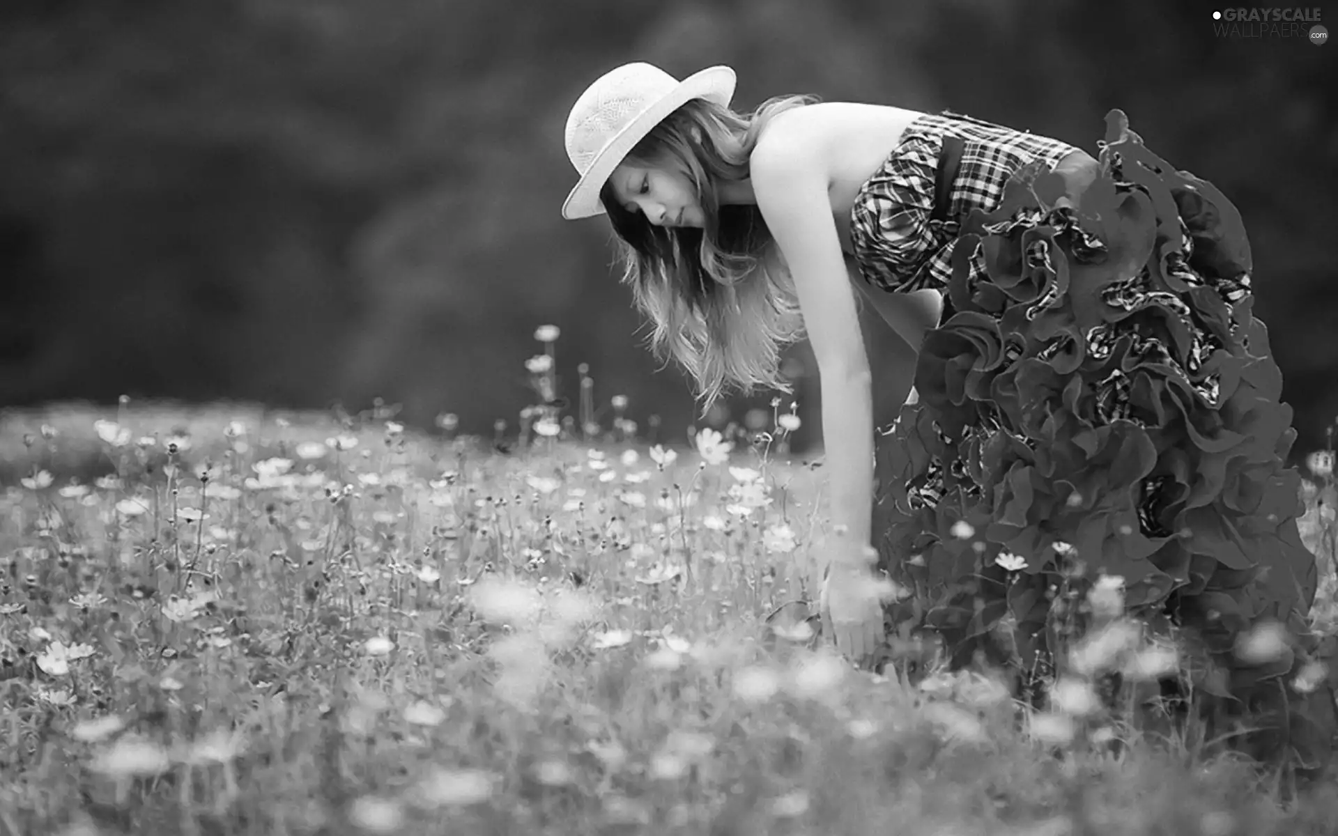 Flowers, Women, Meadow