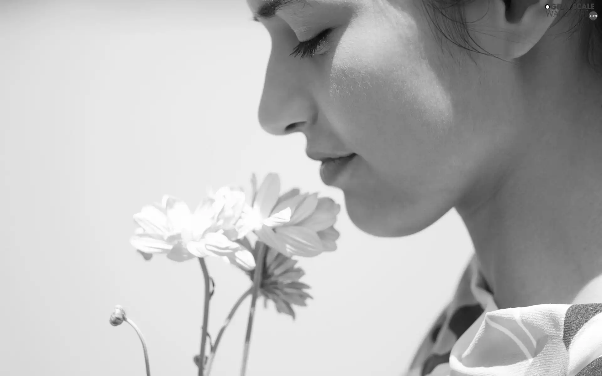 profile, Yellow, Flowers, Womens