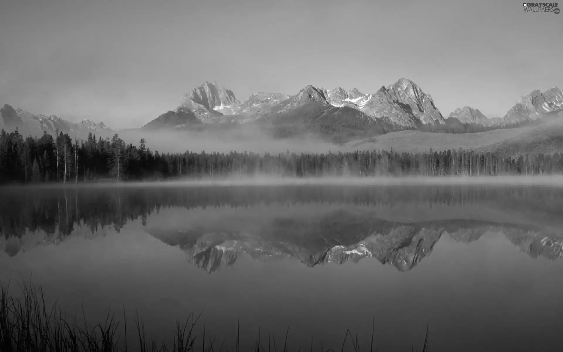 Fog, reflection, forest, lake, Mountains