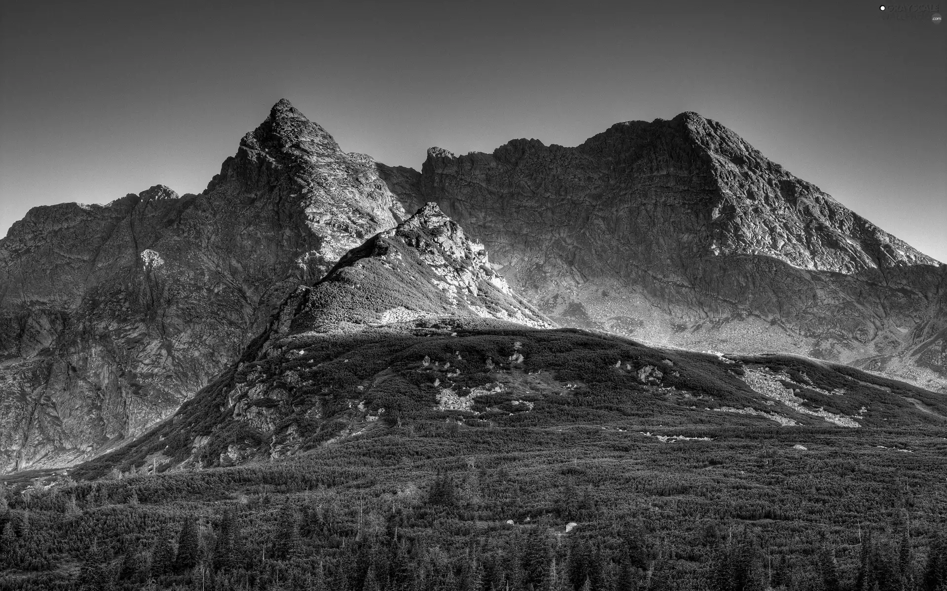 Mountains, forest