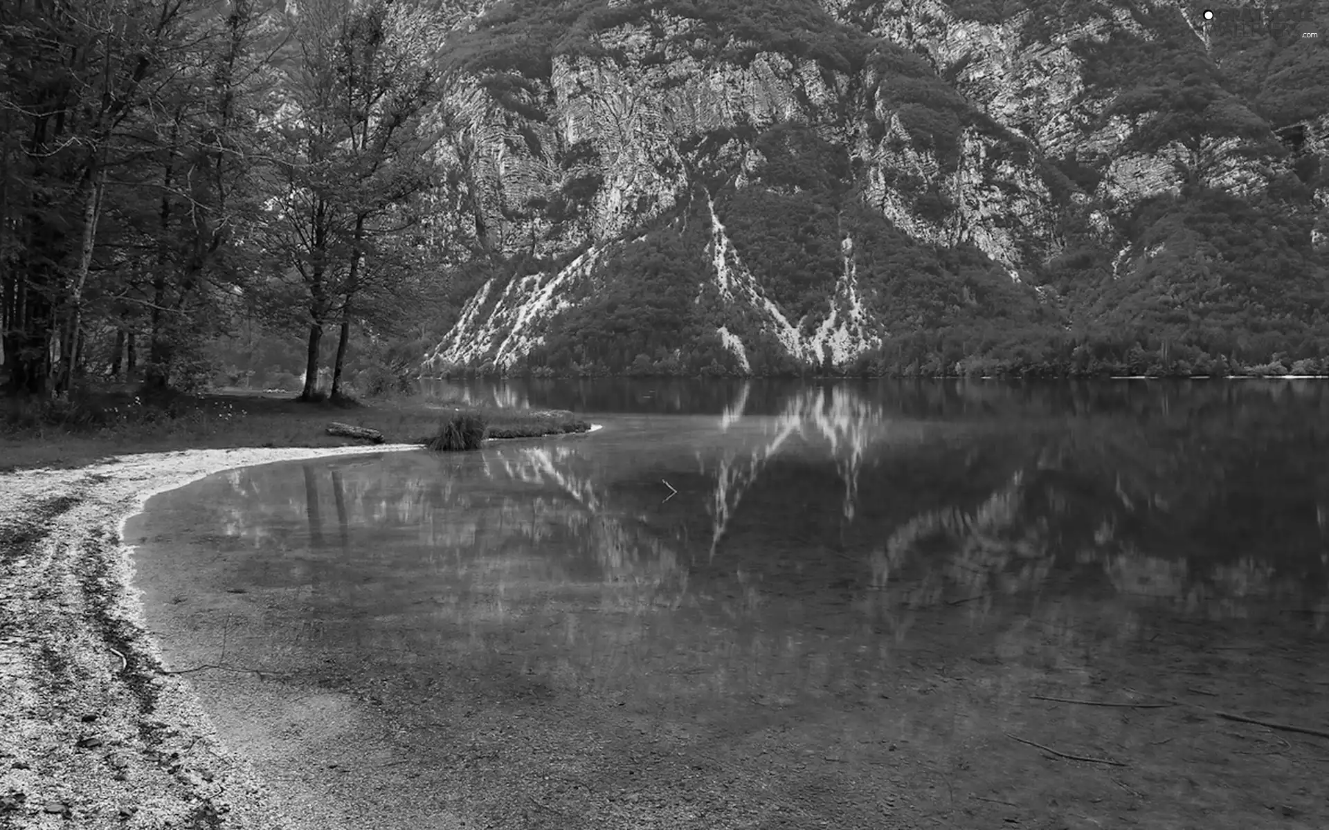 forest, River, Mountains