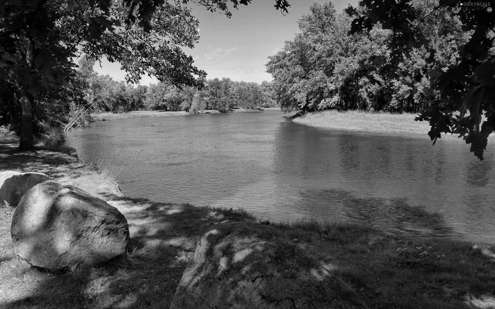 forest, River, Stones