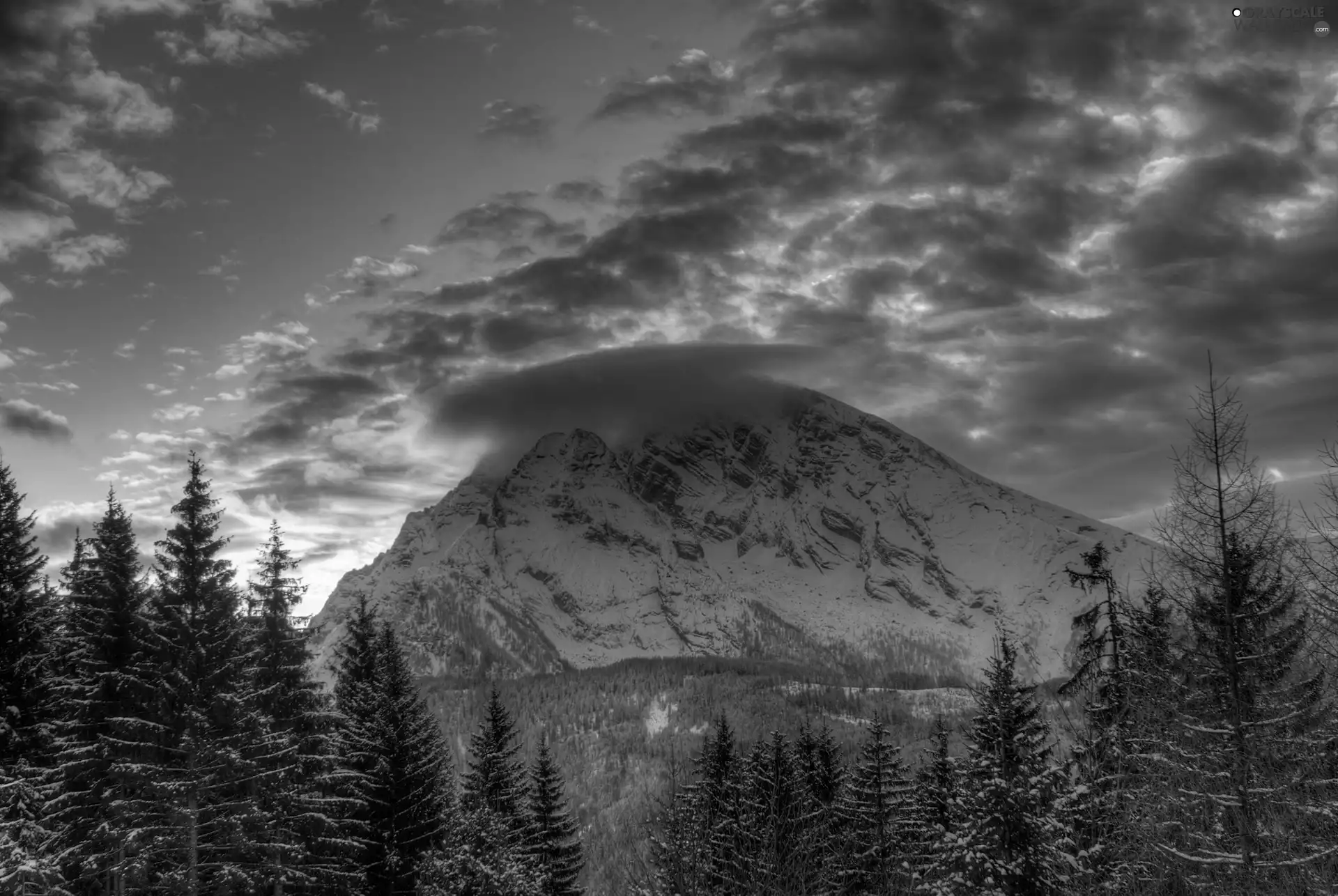 clouds, west, forest, winter, Mountains, sun