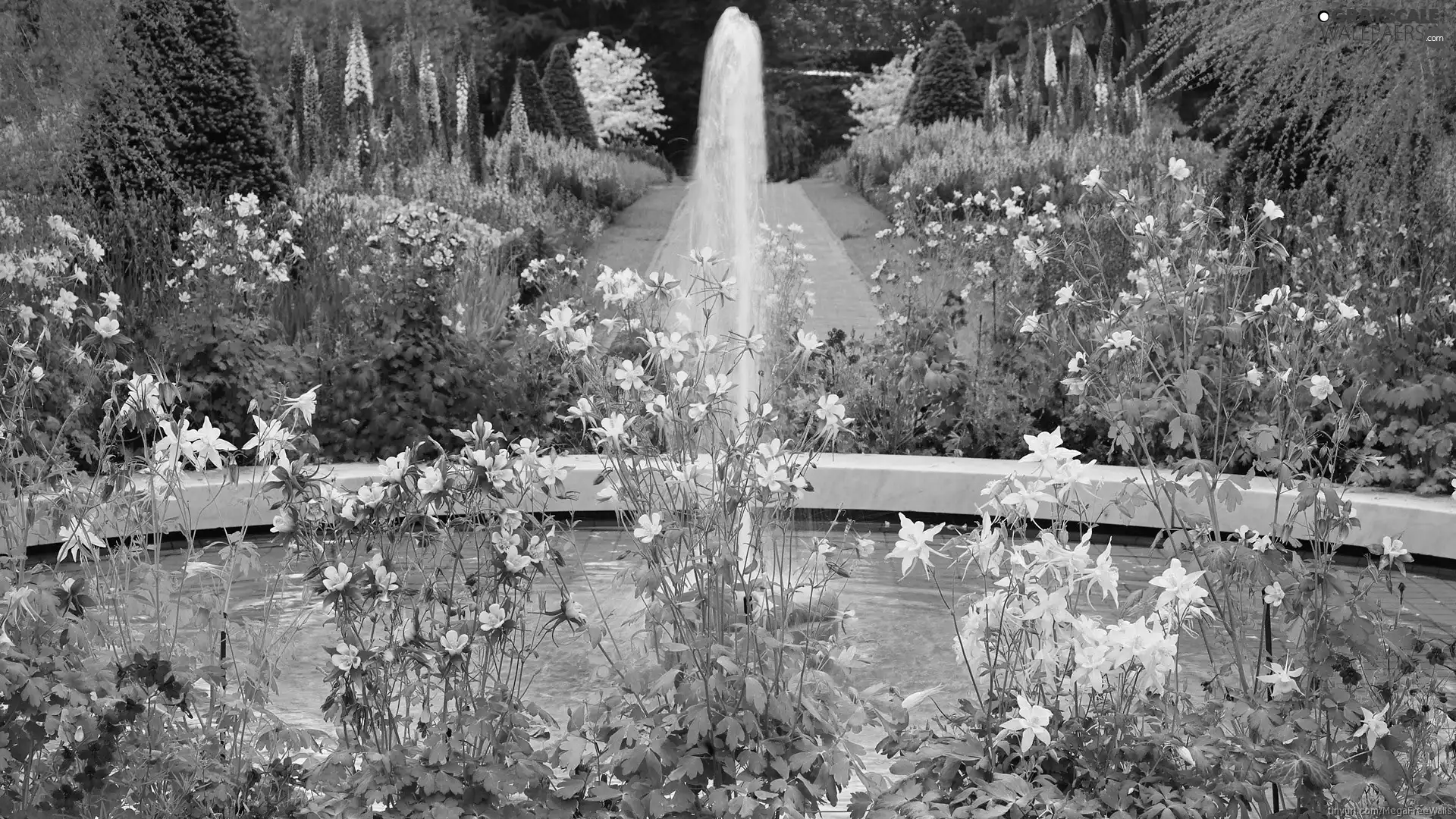 fountain, Garden, Flowers