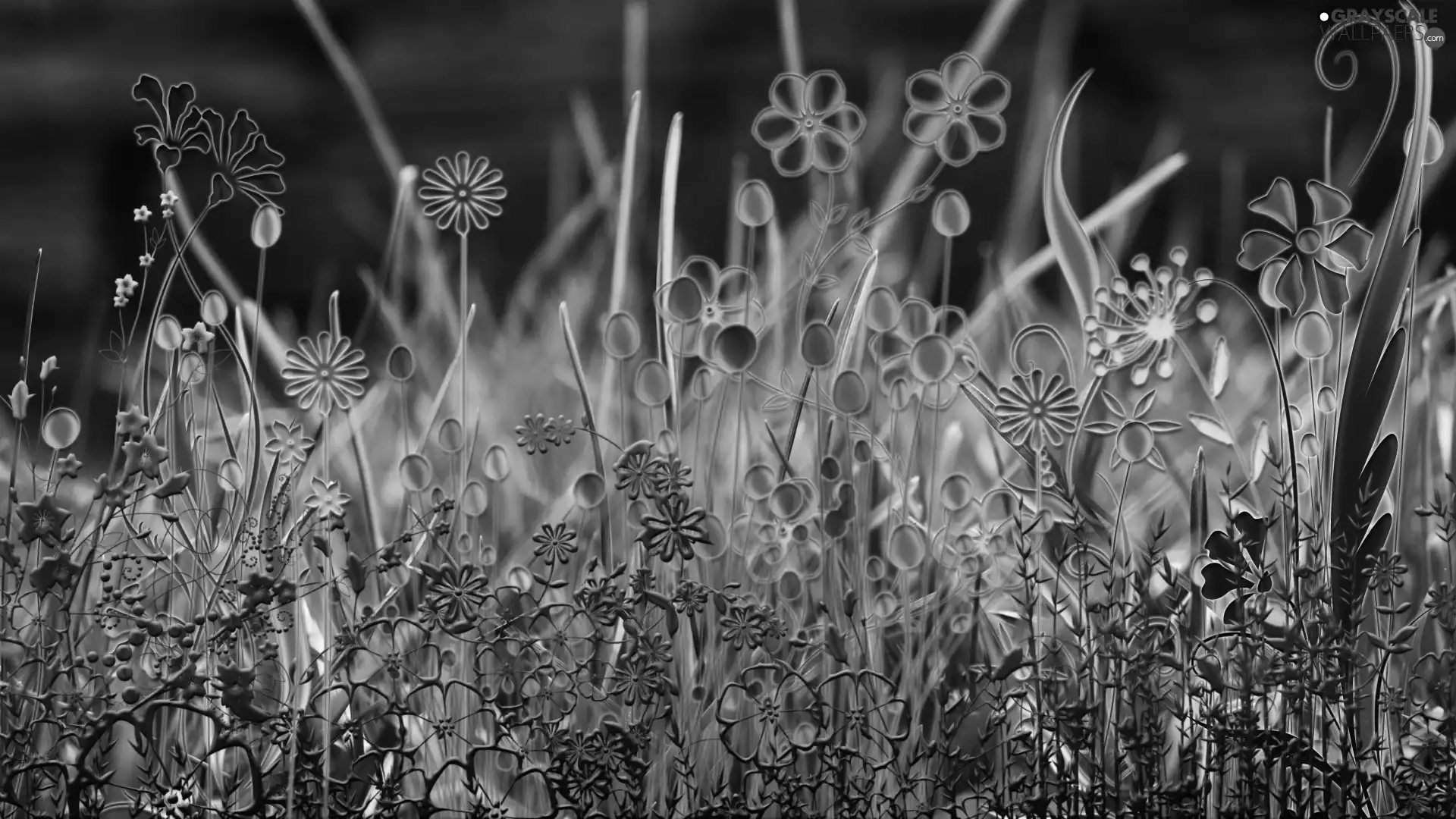 graphics, grass, Flowers