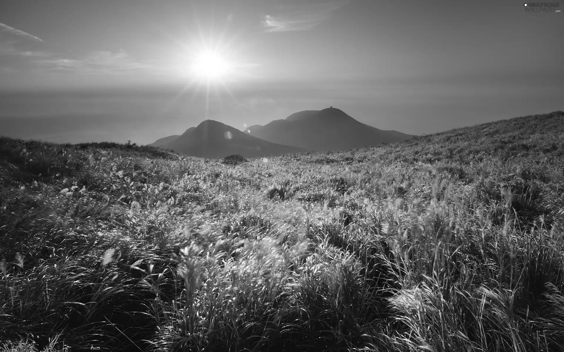 rays, Mountains, grass, sun