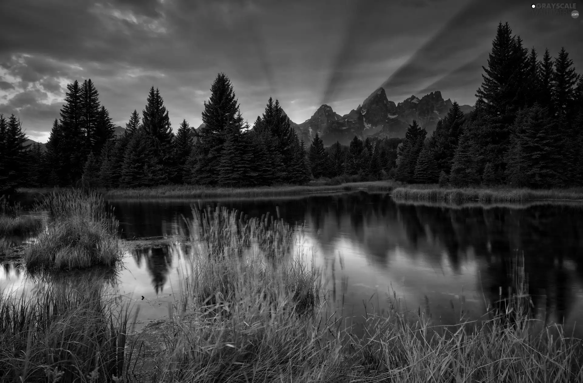 trees, River, grass, Sky, viewes, Mountains