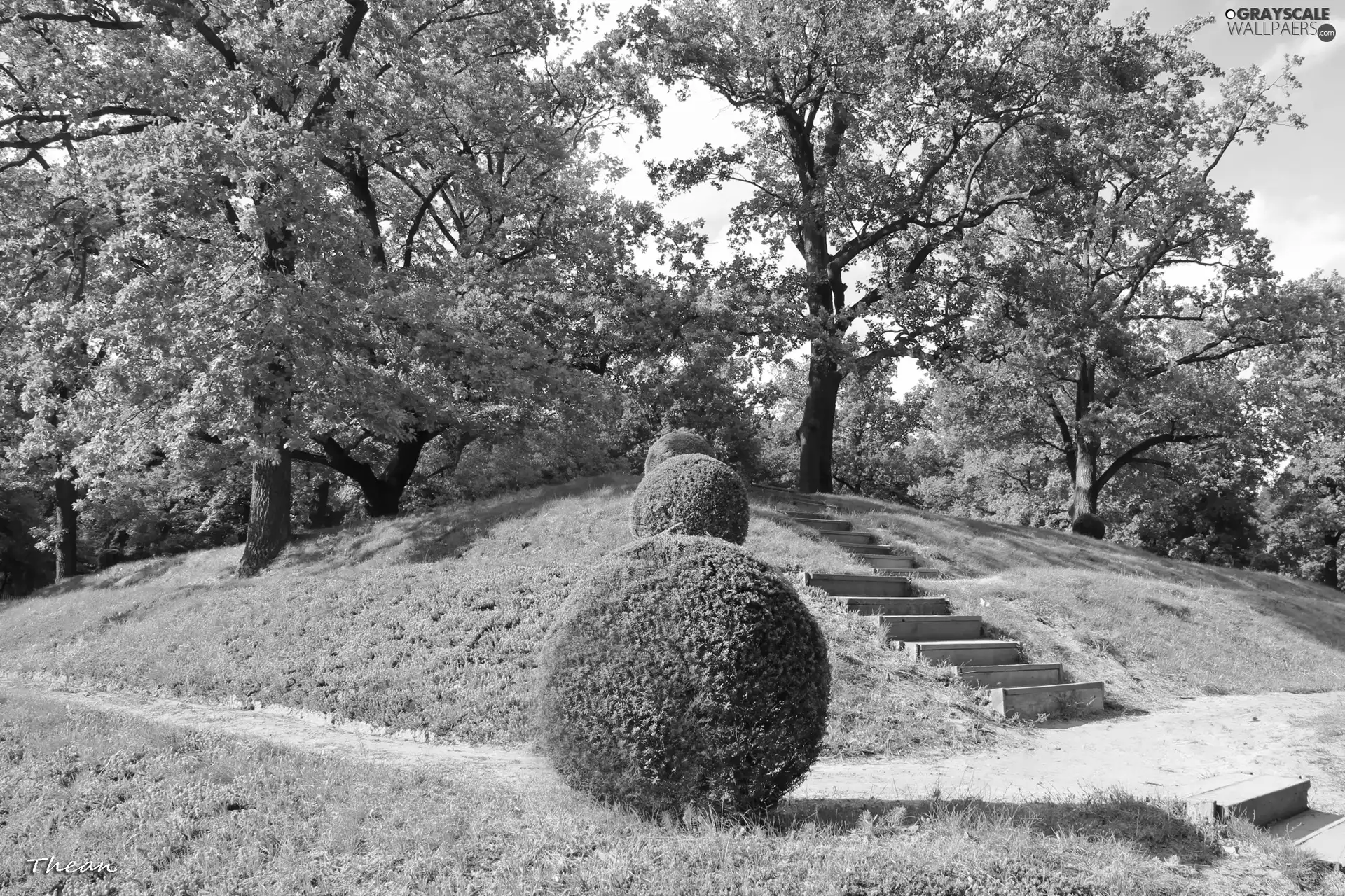 viewes, Bush, Stone, trees, Parks, grass, Stairs